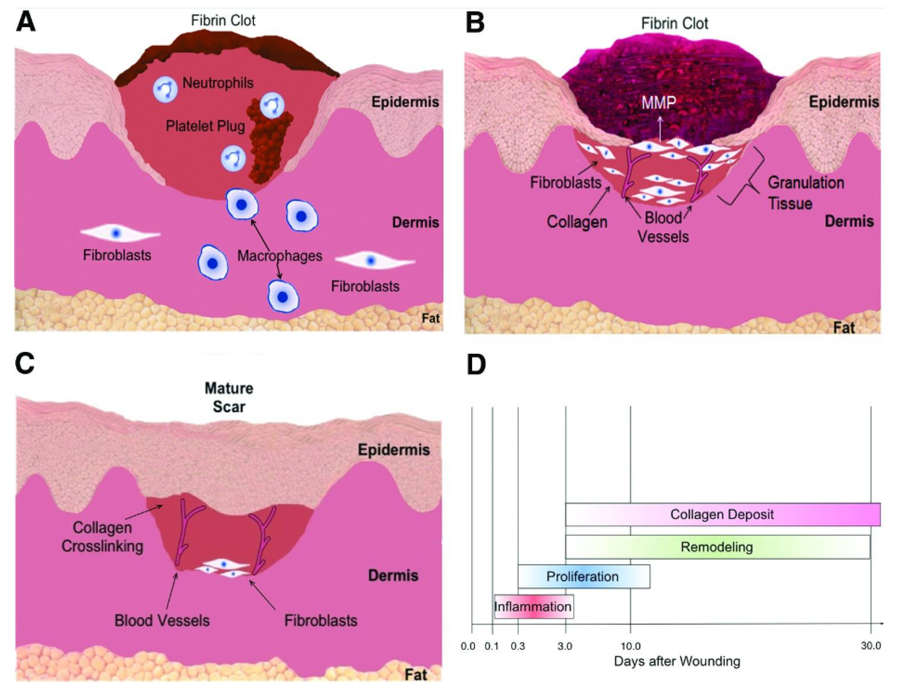 Pharmaceutics 15 02327 g005