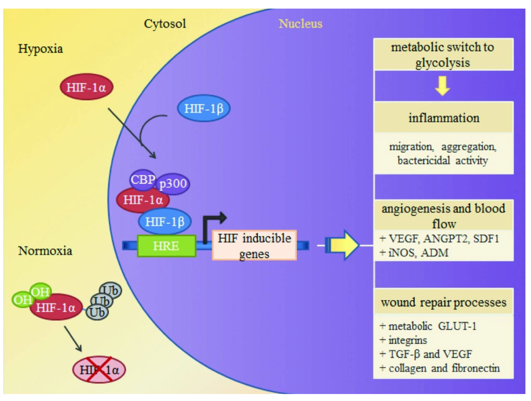 Pharmaceutics 15 02327 g006