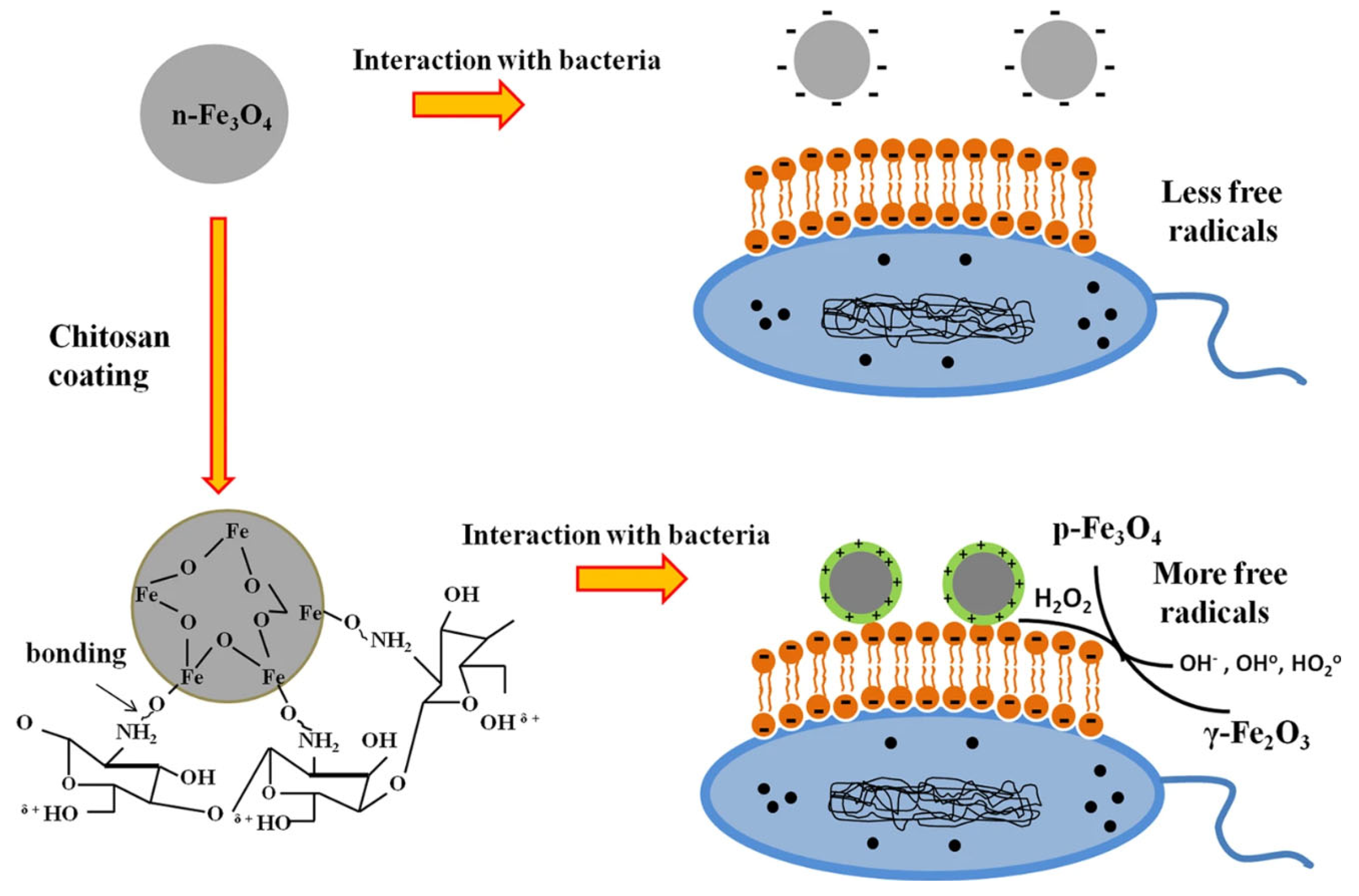 Pharmaceutics 15 02327 g008