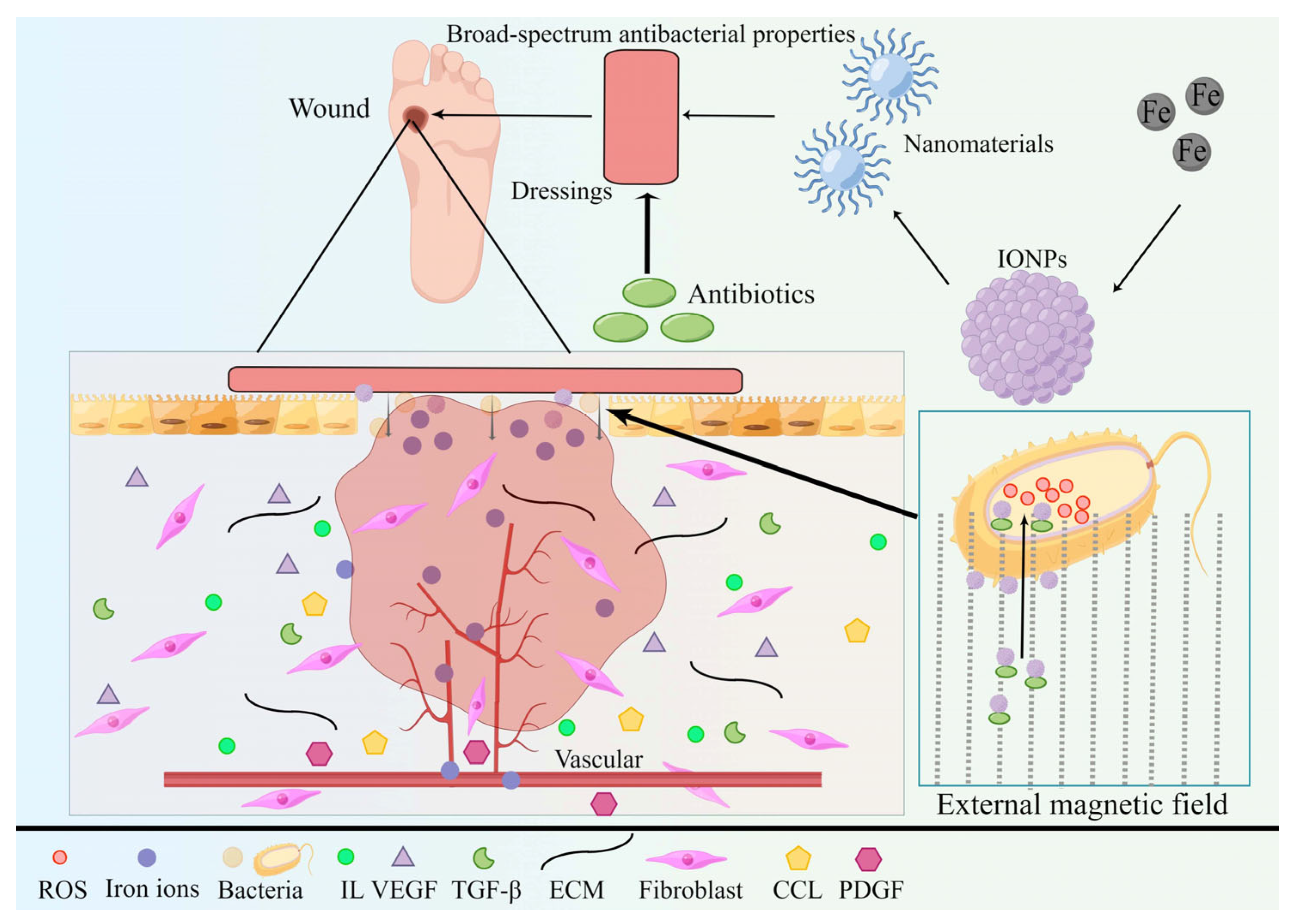Pharmaceutics 15 02327 g009