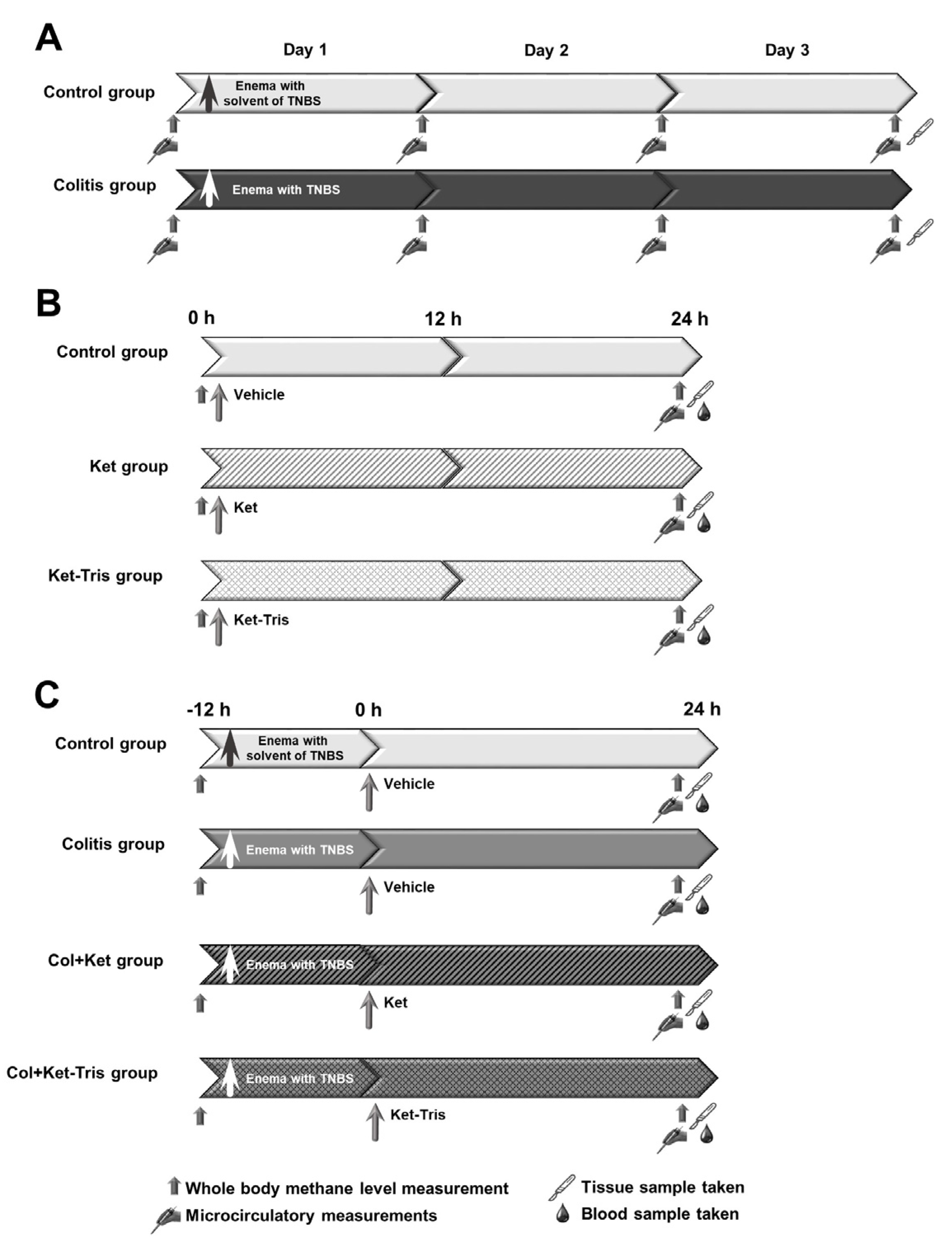 Pharmaceutics 15 02329 g002