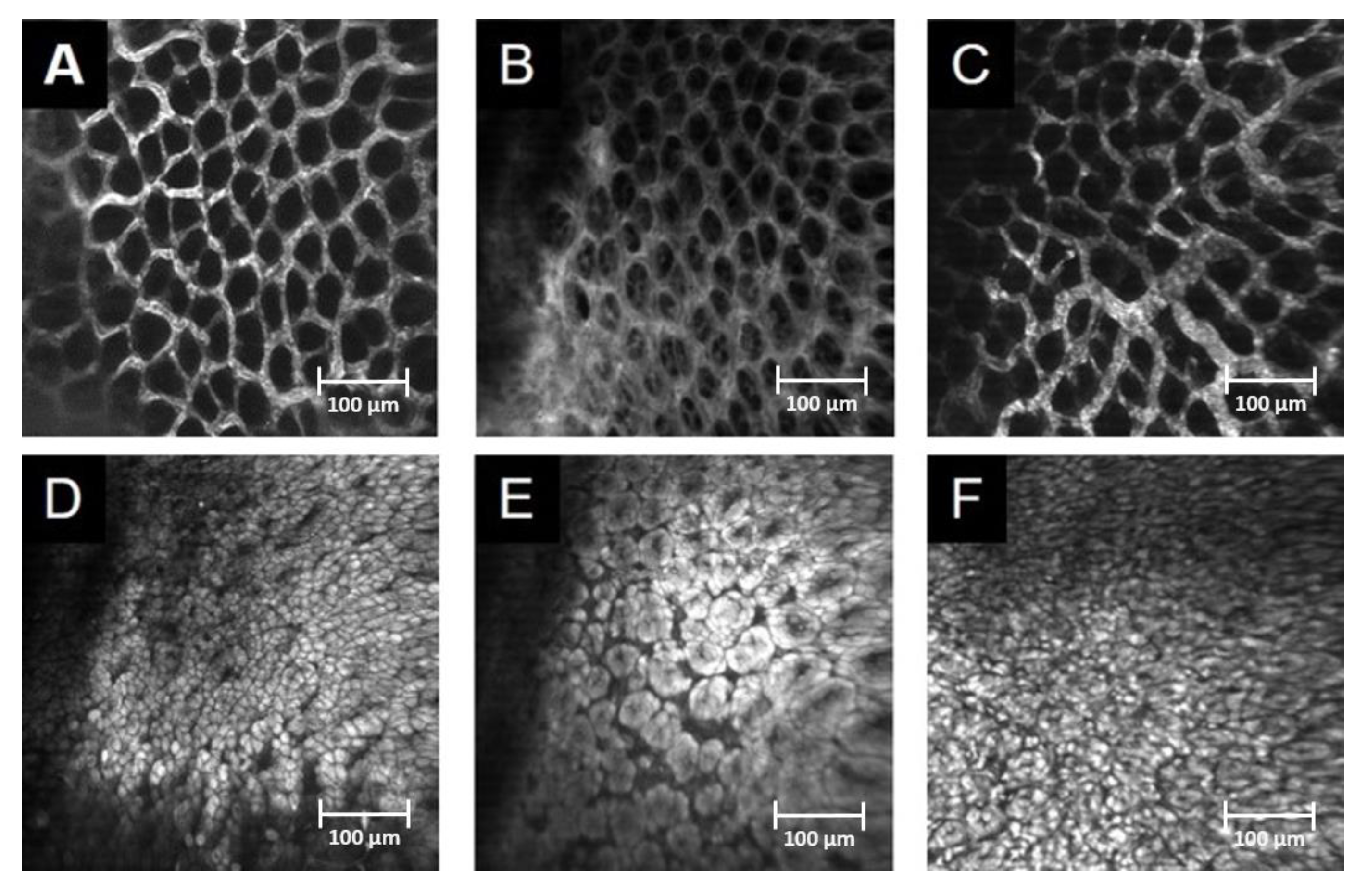 Pharmaceutics 15 02329 g006