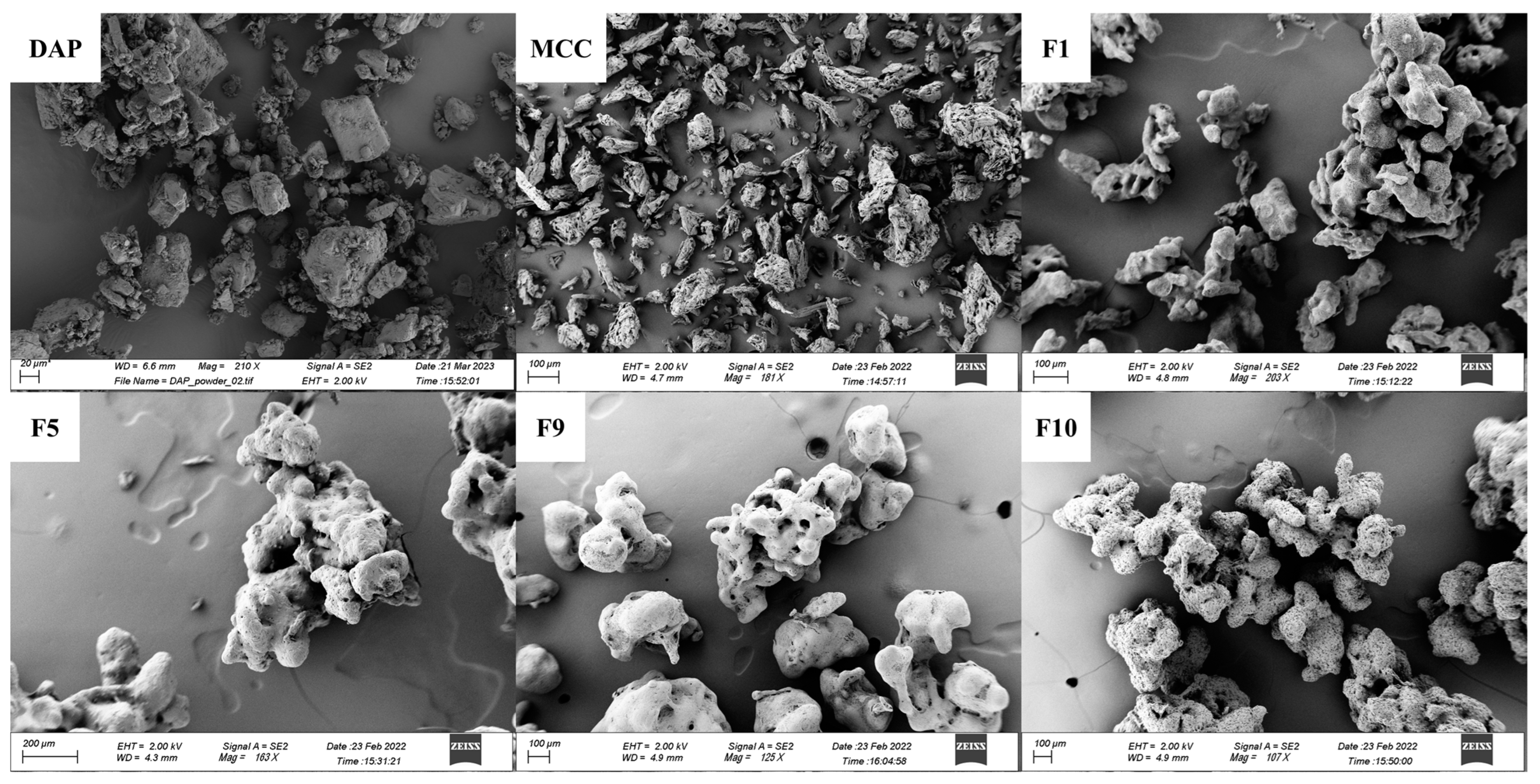 Pharmaceutics 15 02330 g010