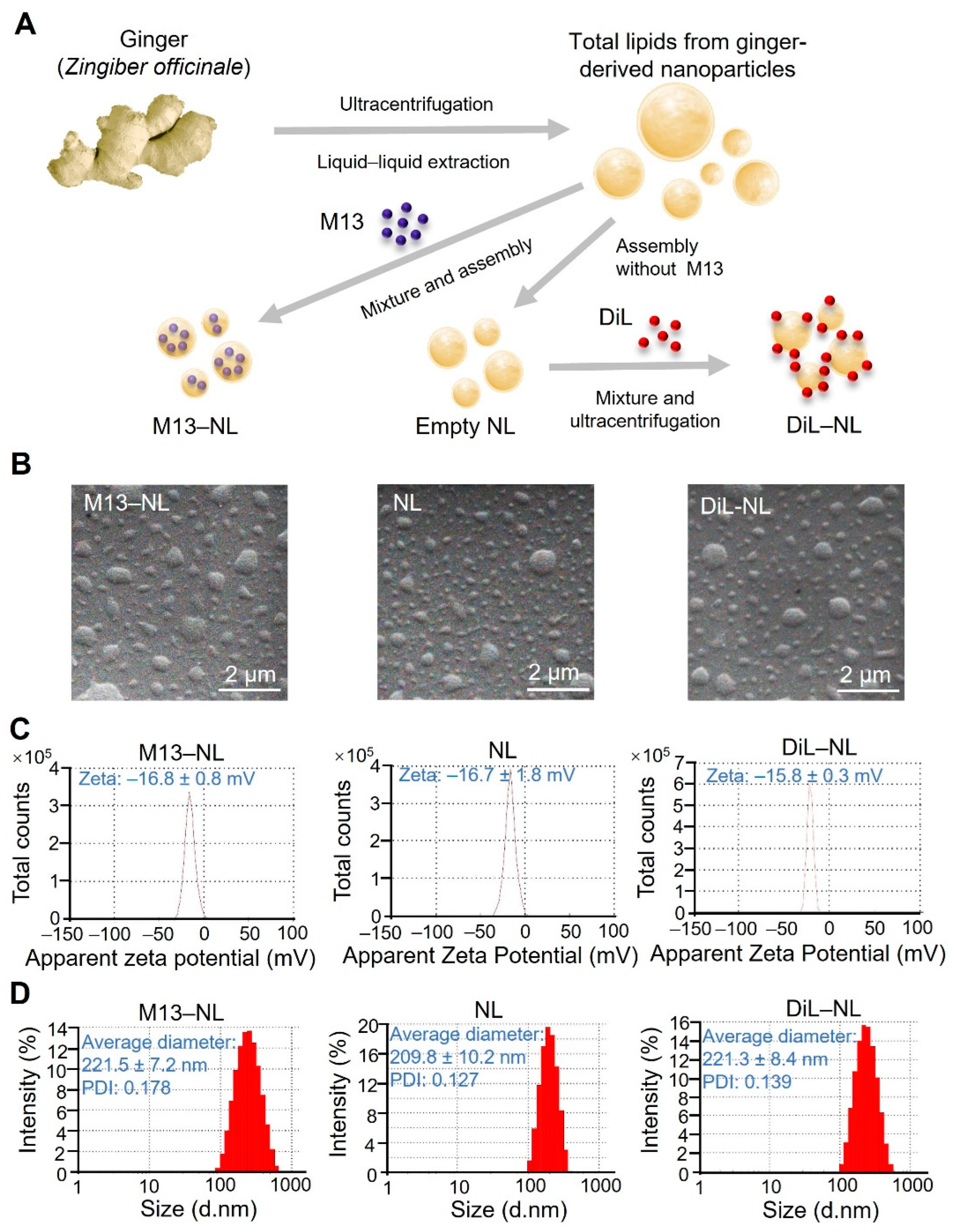 Pharmaceutics 15 02331 g001