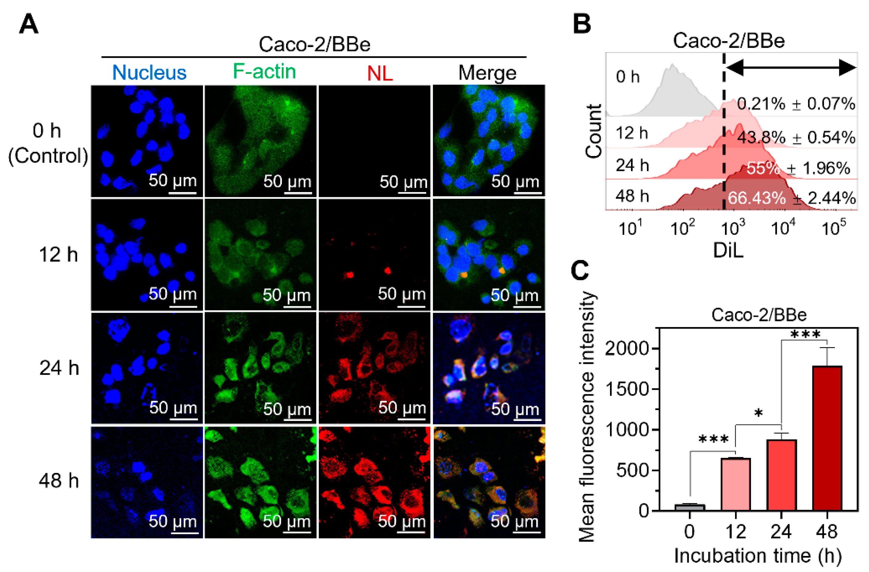 Pharmaceutics 15 02331 g002