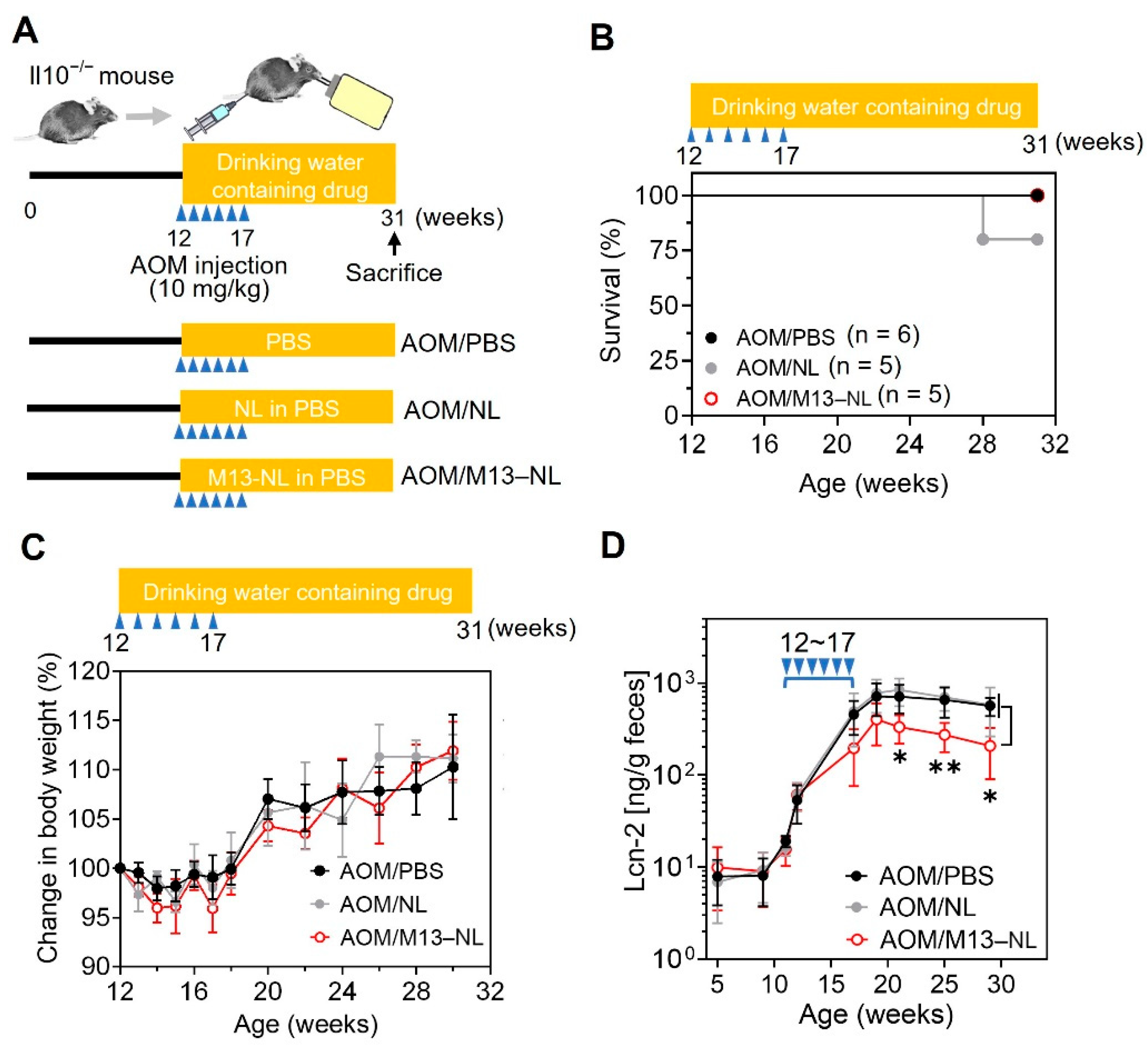 Pharmaceutics 15 02331 g003