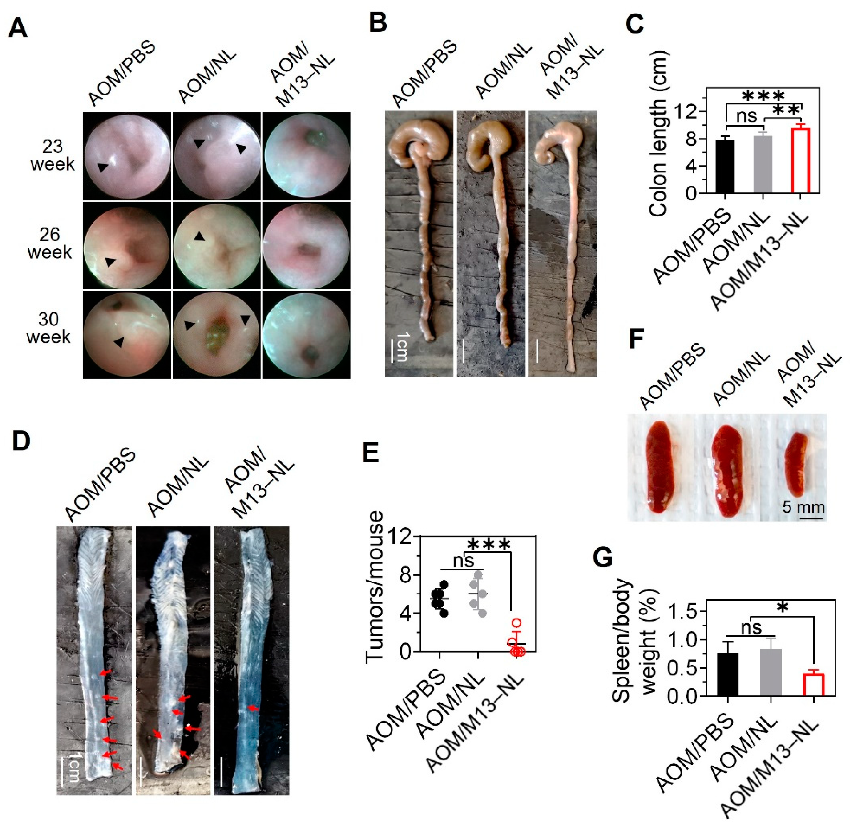 Pharmaceutics 15 02331 g004