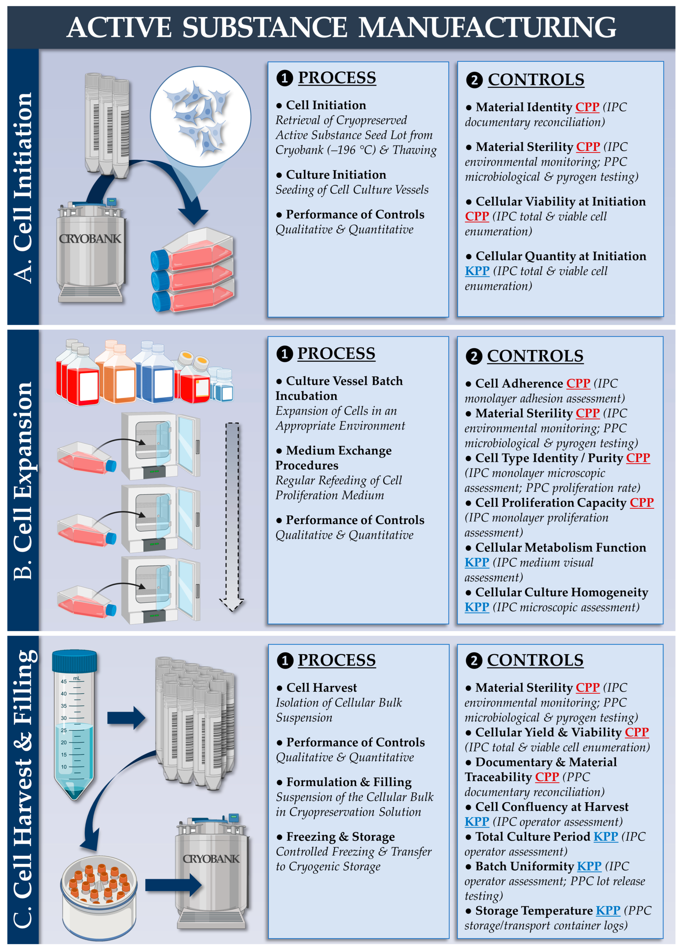 Pharmaceutics 15 02333 g001