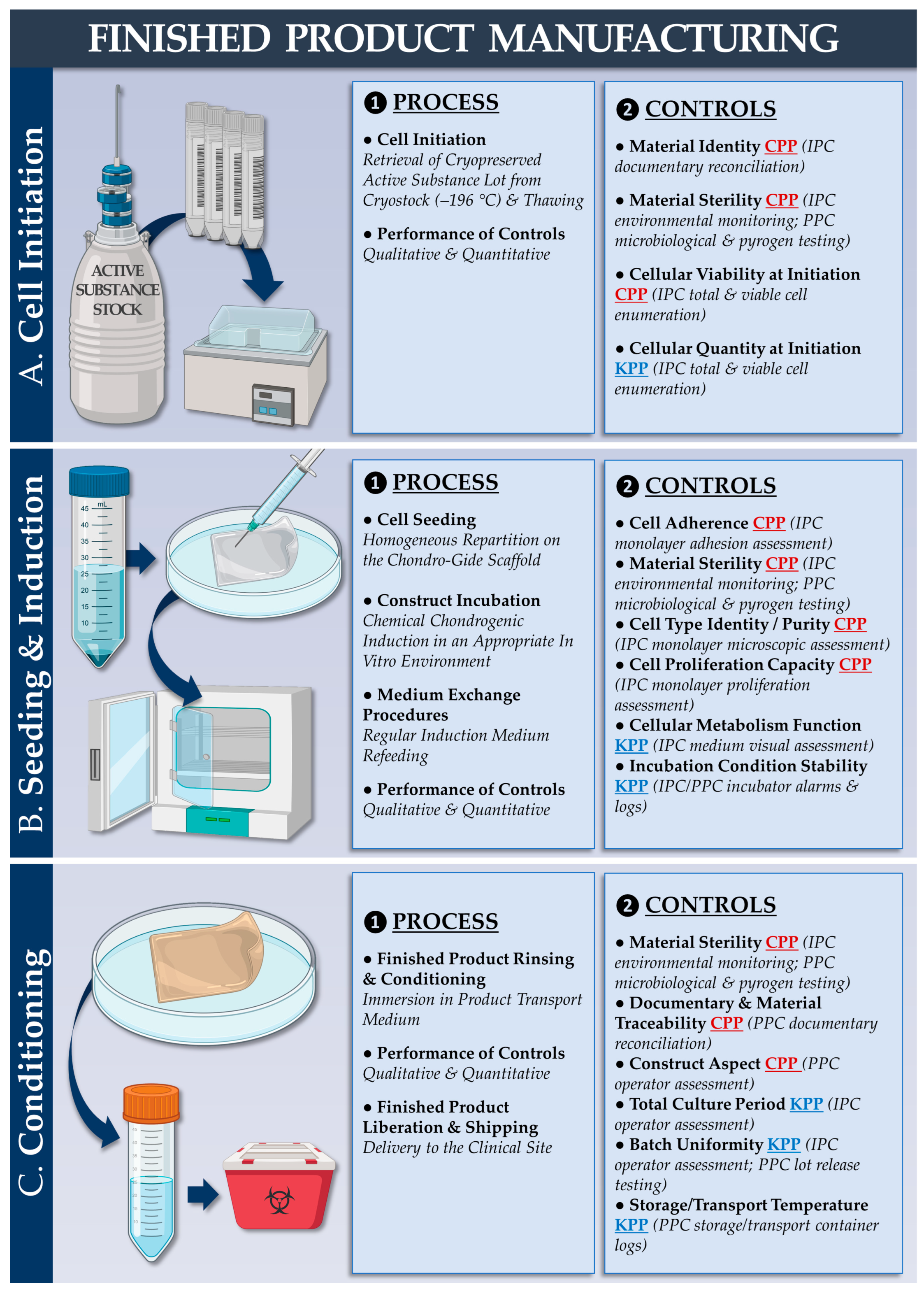 Pharmaceutics 15 02333 g002