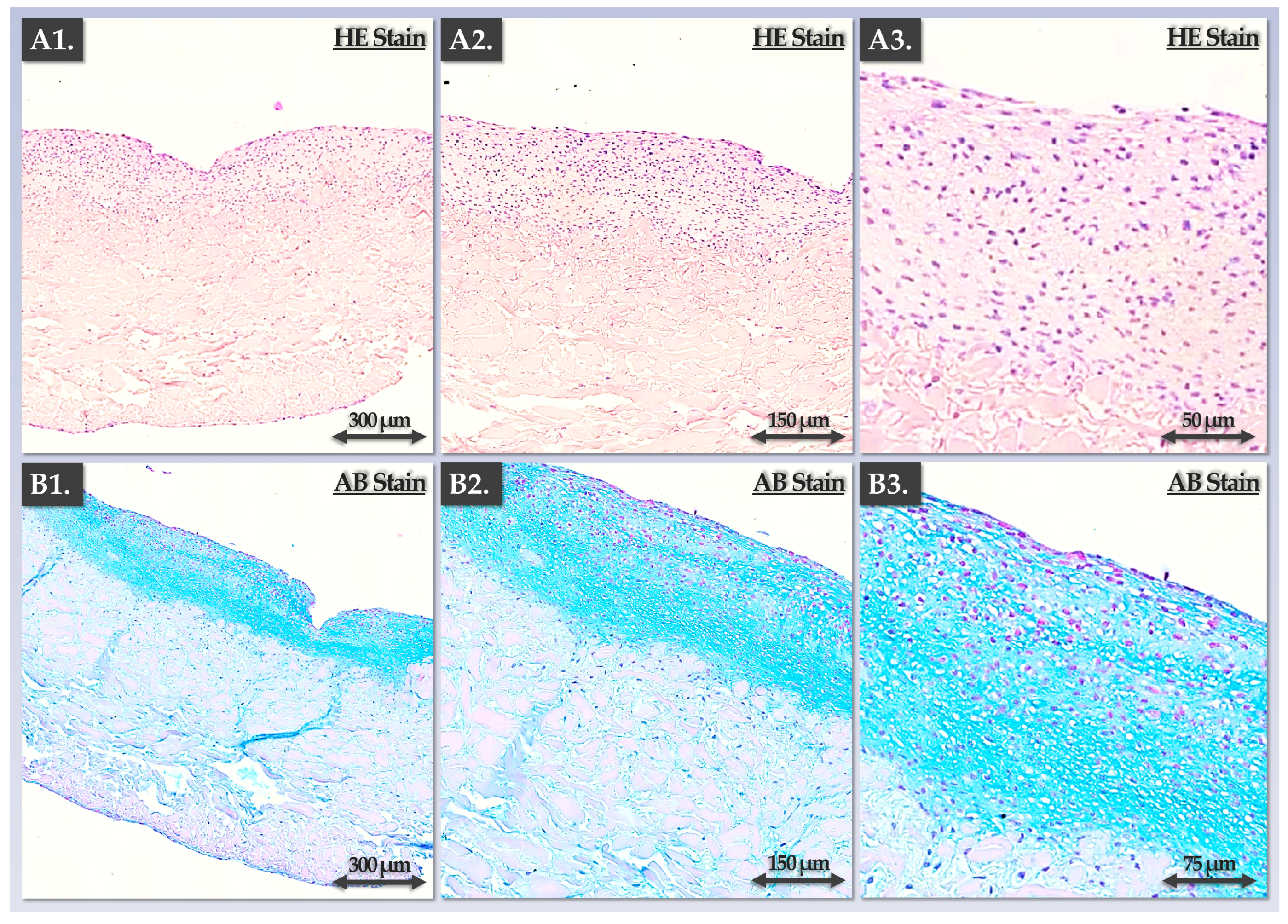 Pharmaceutics 15 02333 g005
