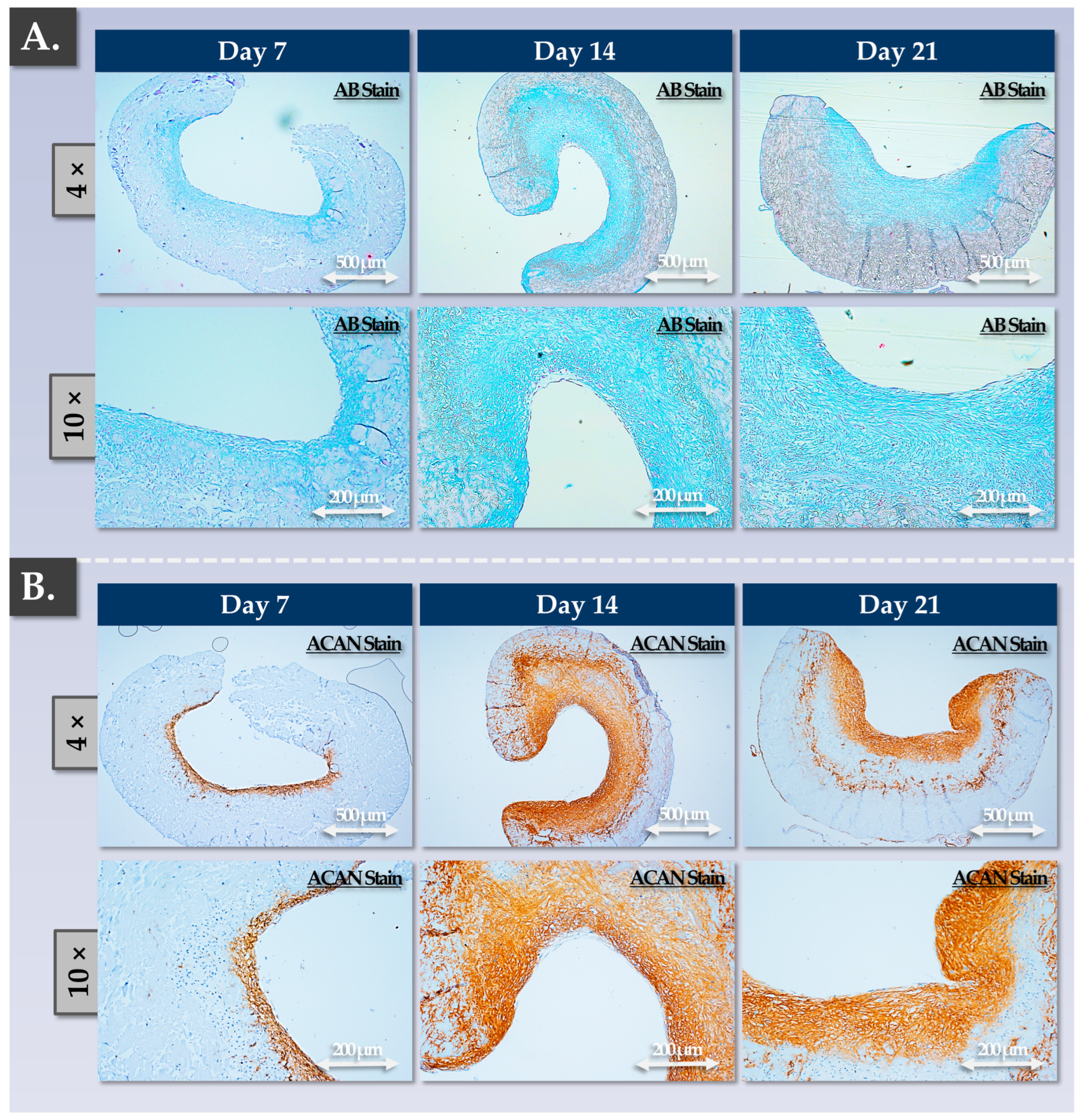 Pharmaceutics 15 02333 g006