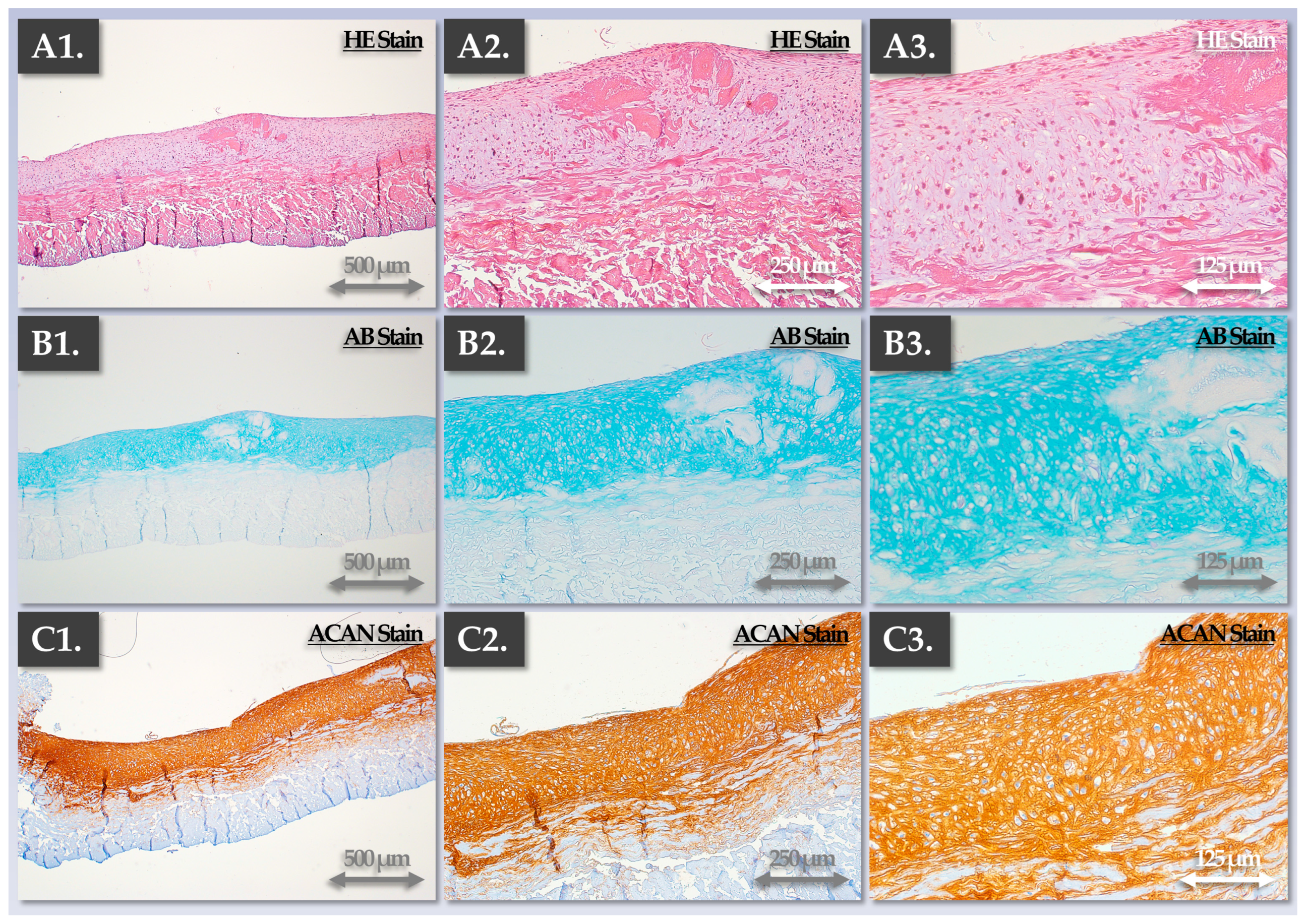 Pharmaceutics 15 02333 g007