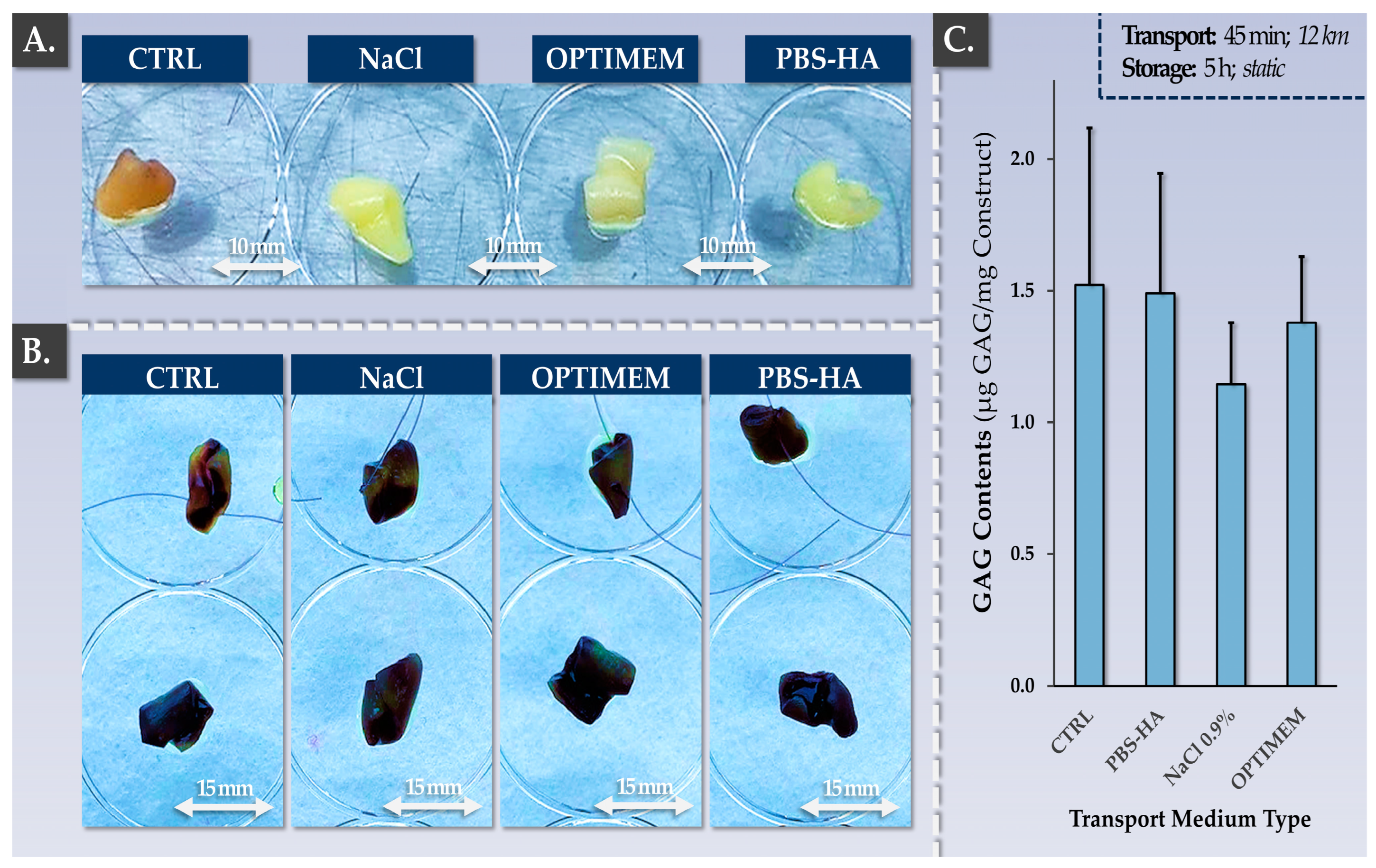 Pharmaceutics 15 02333 g008