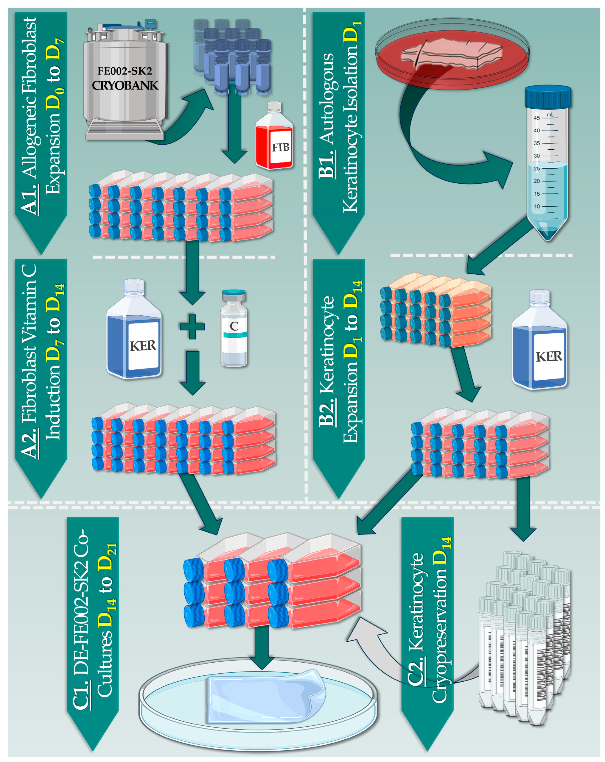 Pharmaceutics 15 02334 g002