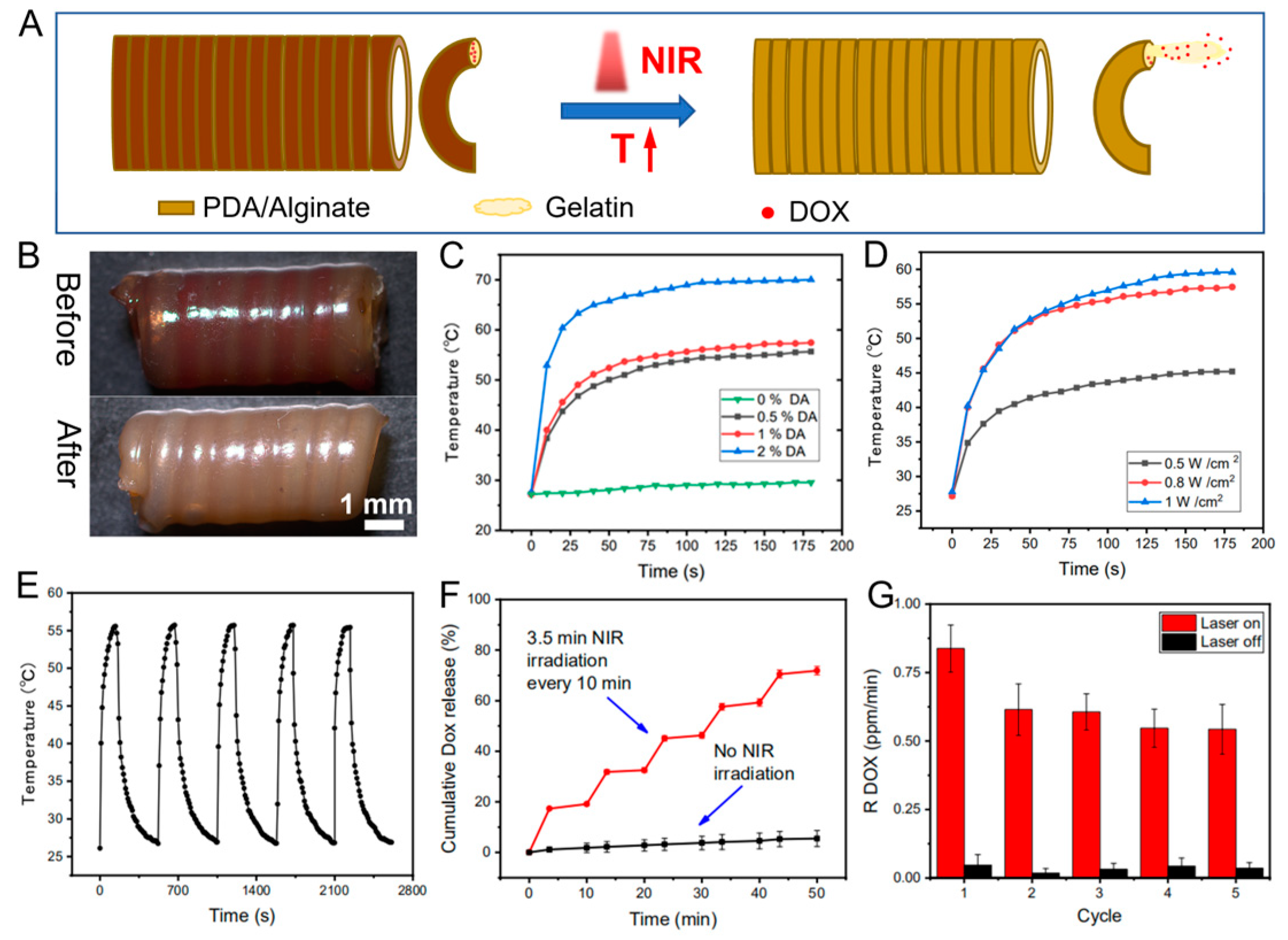 Pharmaceutics 15 02336 g002