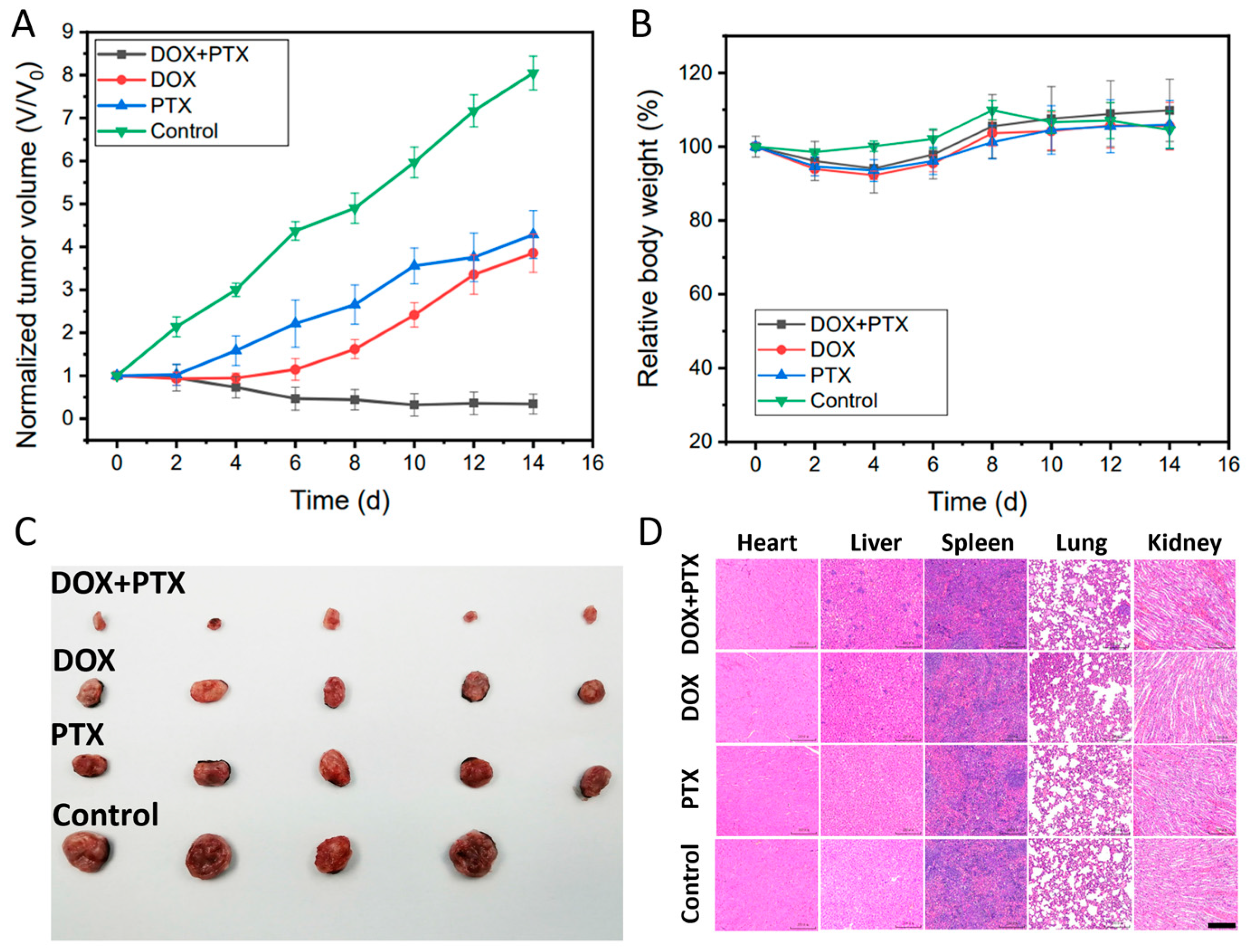 Pharmaceutics 15 02336 g004