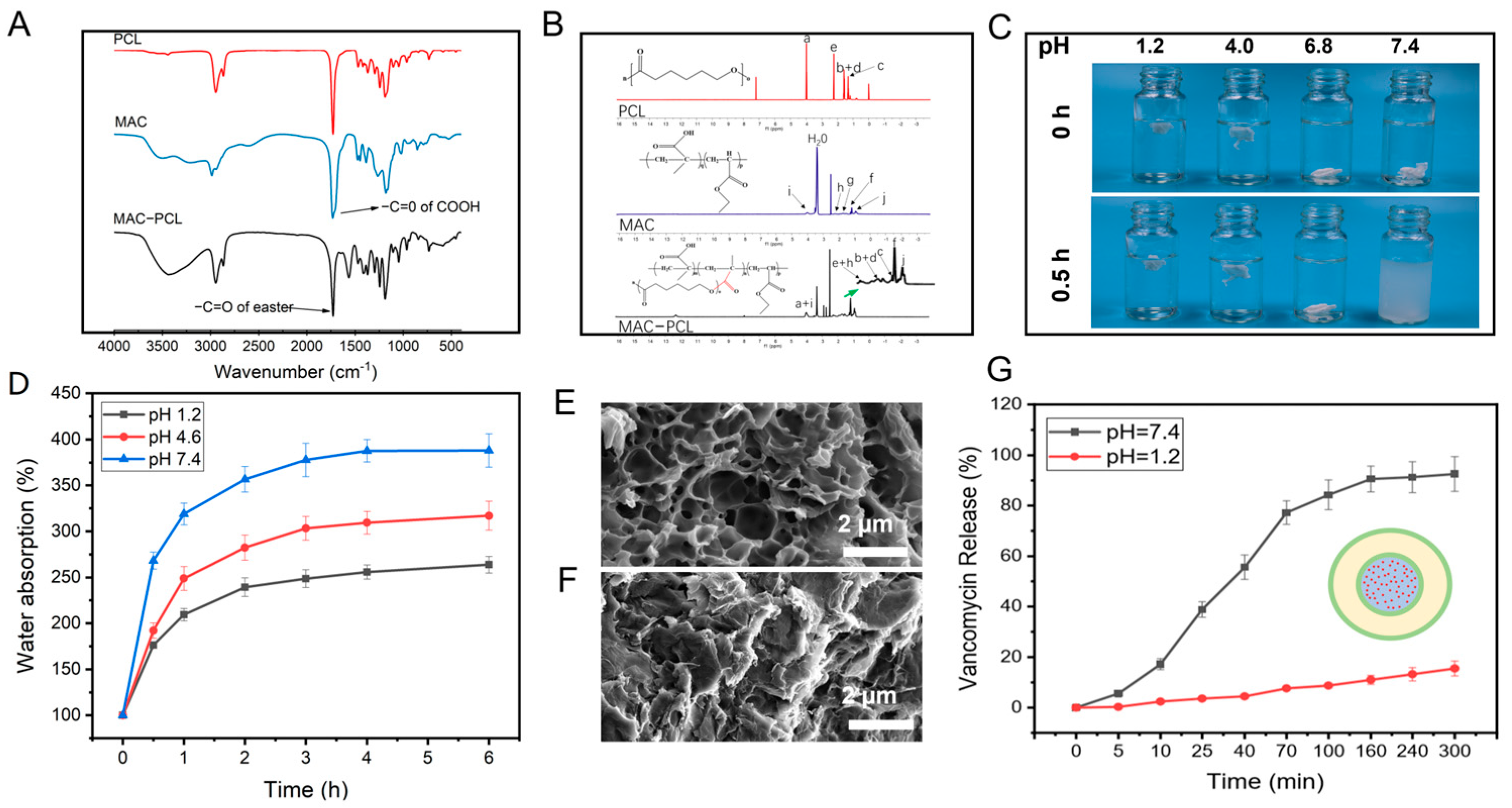Pharmaceutics 15 02336 g005