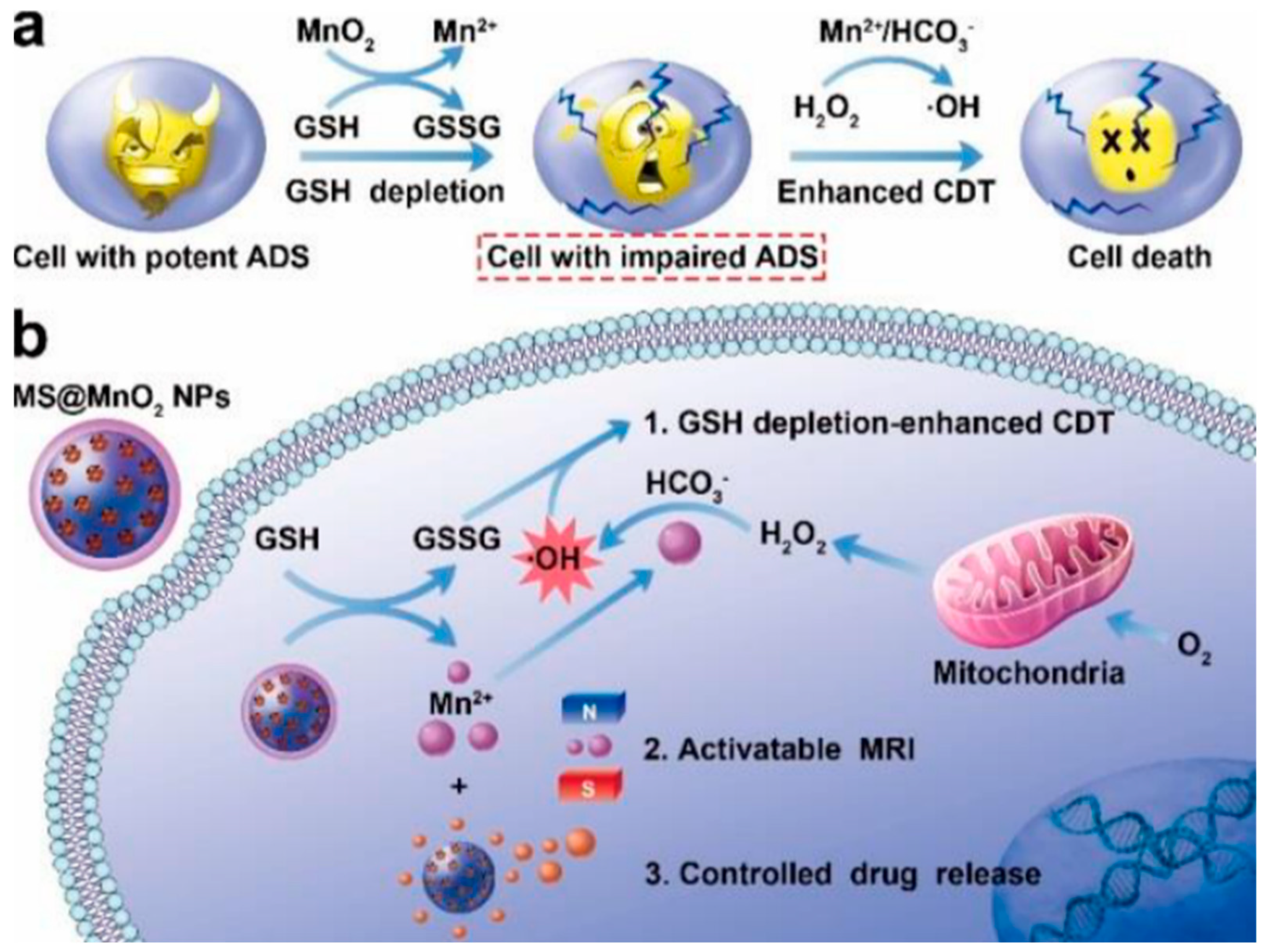 Pharmaceutics 15 02337 g003