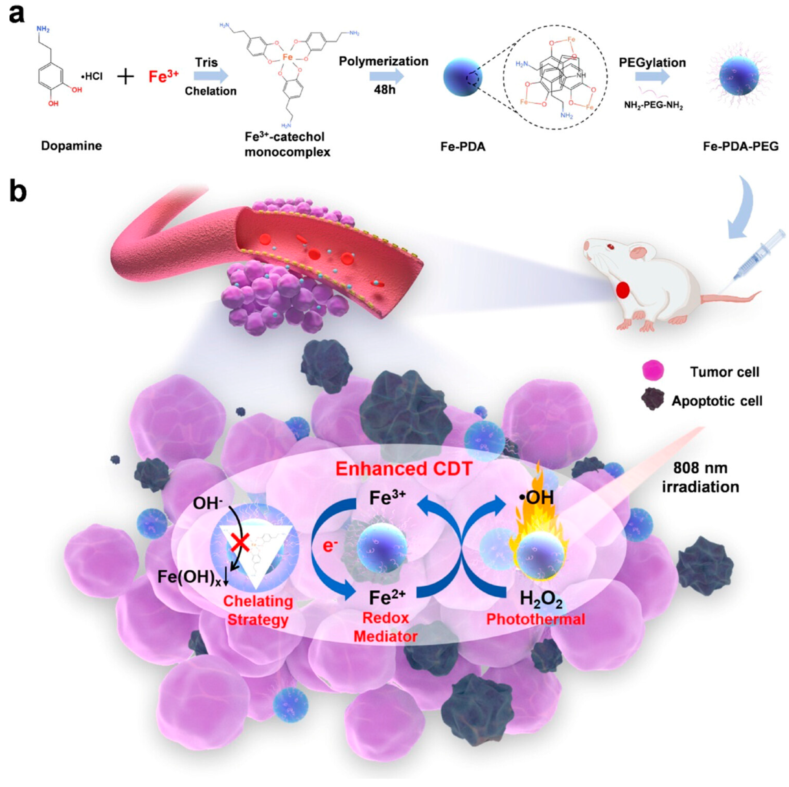 Pharmaceutics 15 02337 g011