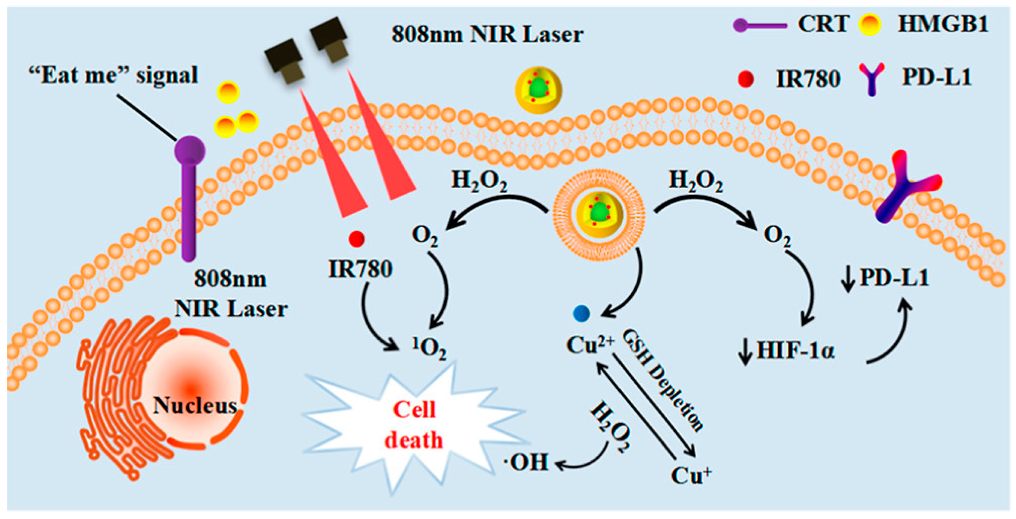 Pharmaceutics 15 02337 g013