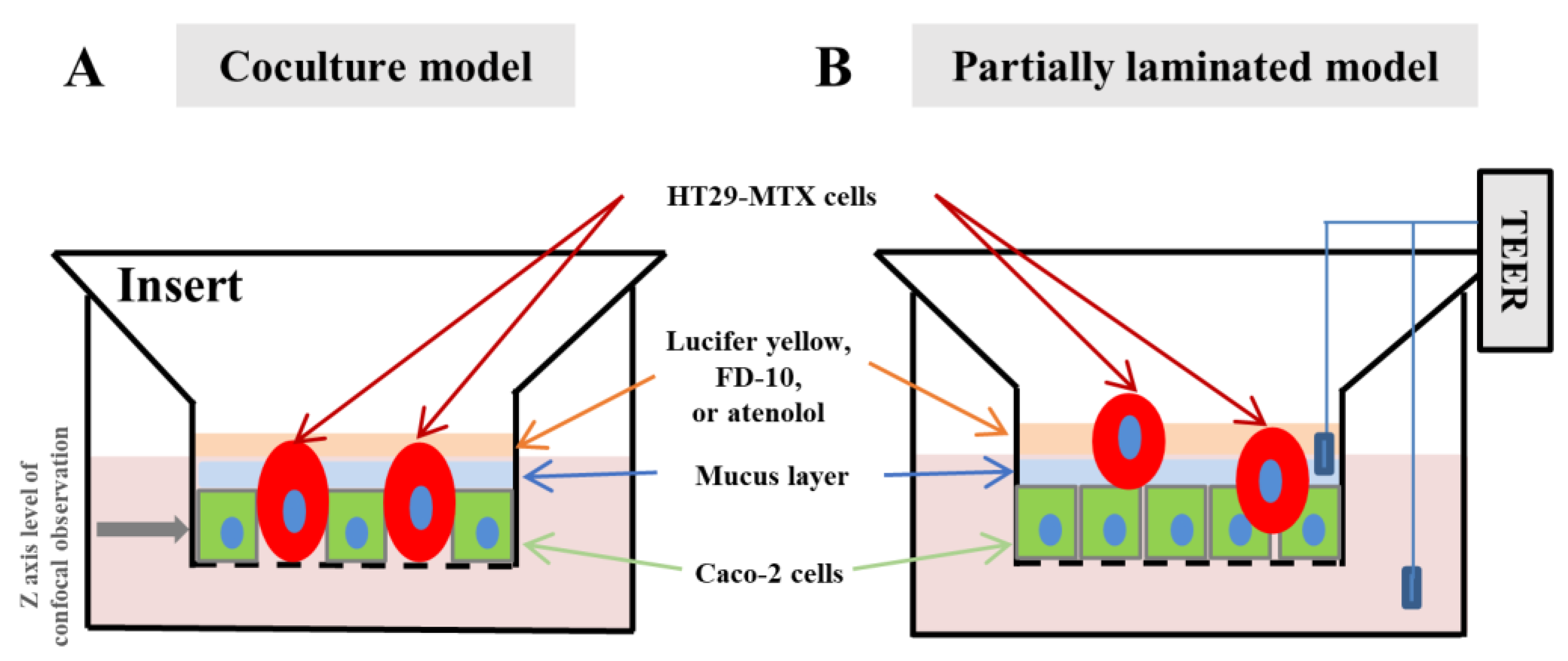 Pharmaceutics 15 02338 g001