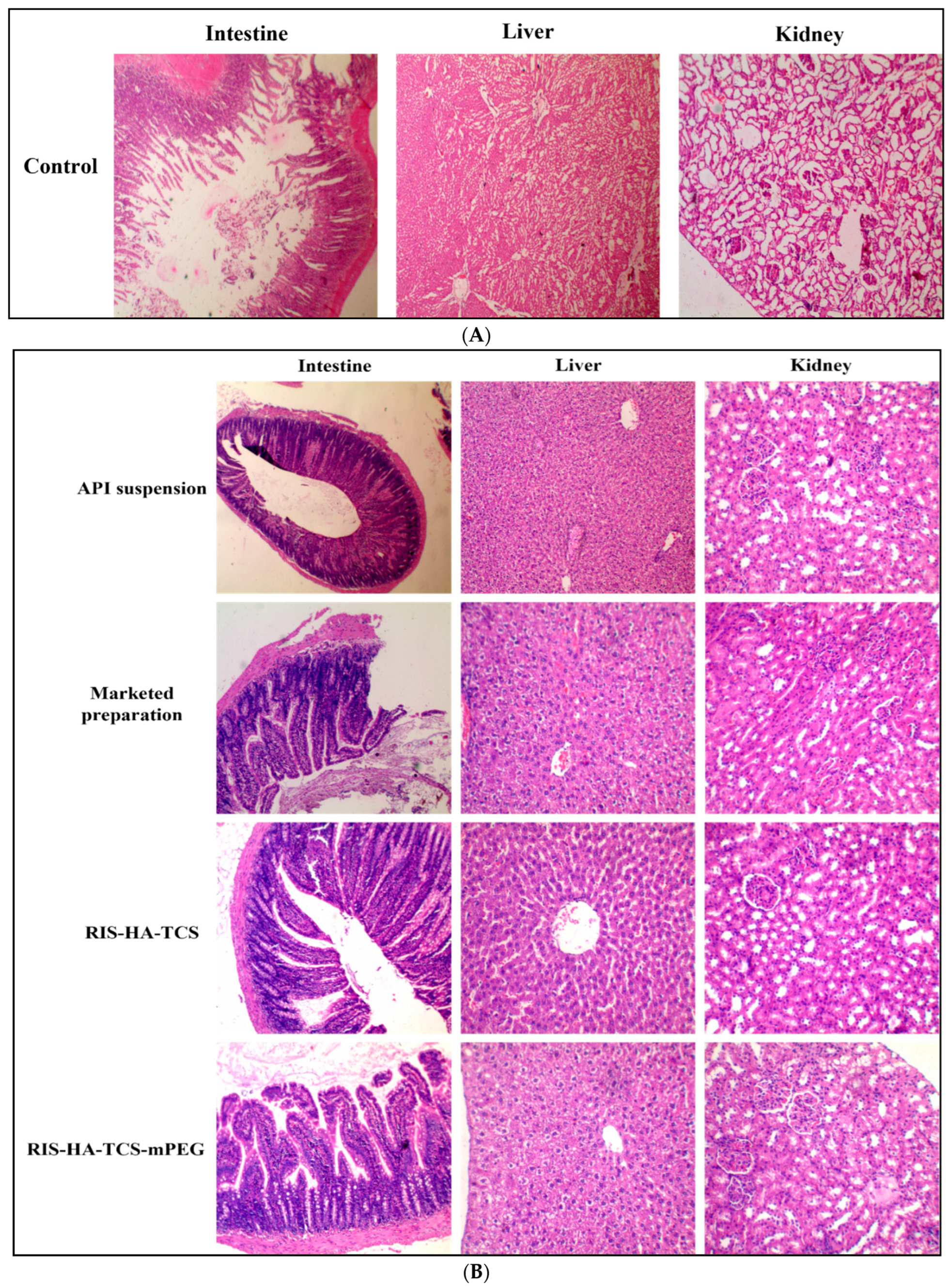 Pharmaceutics 15 02339 g006a