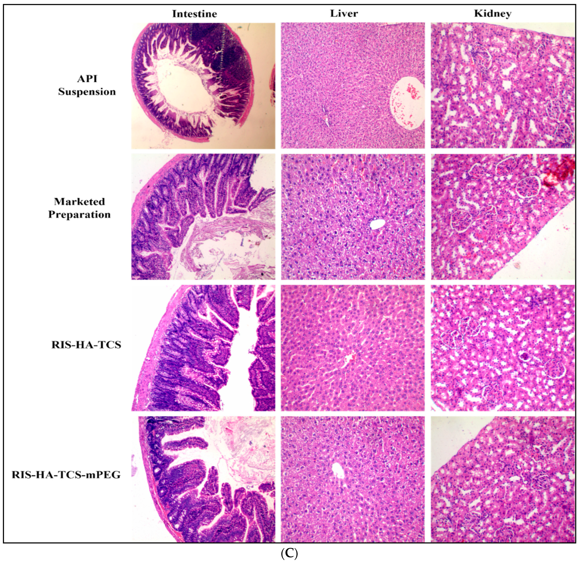 Pharmaceutics 15 02339 g006b