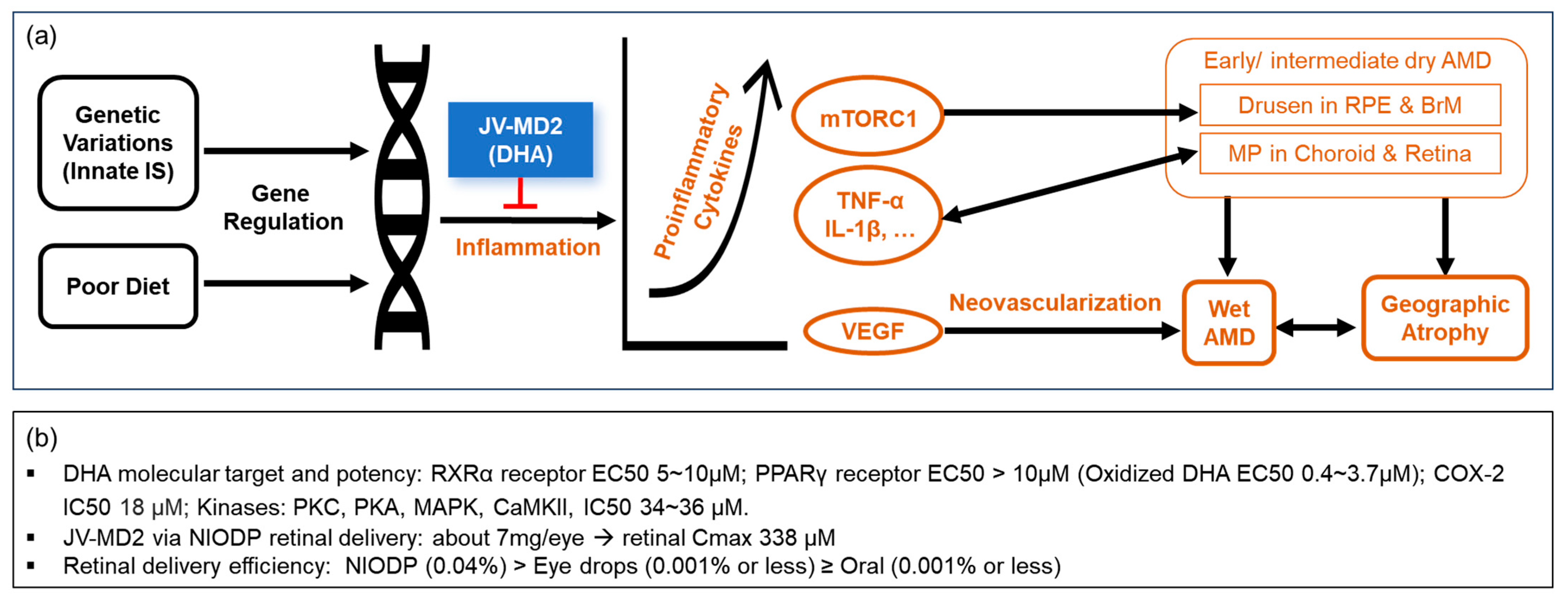 Pharmaceutics 15 02344 g006