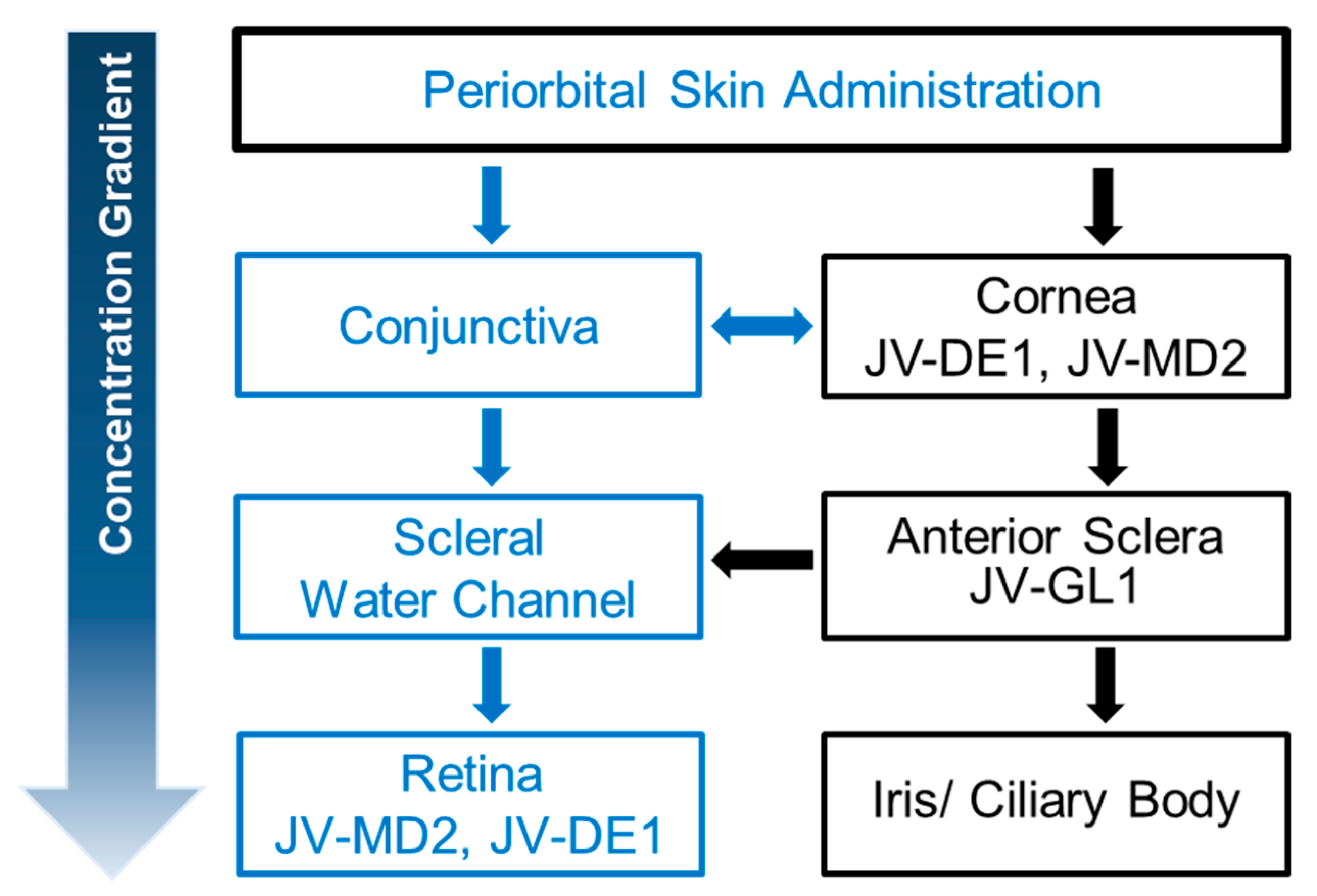 Pharmaceutics 15 02344 g007