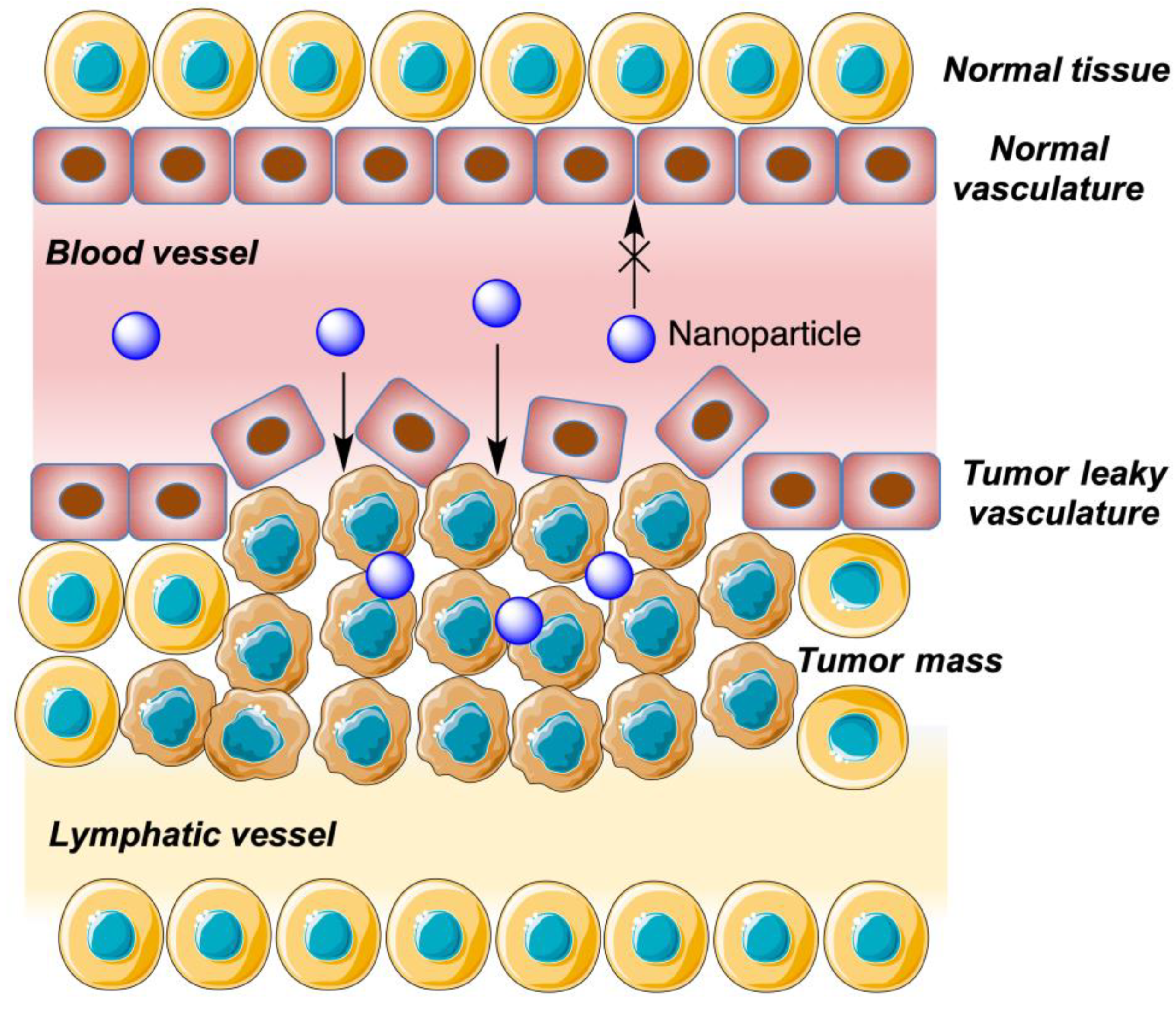 Pharmaceutics 15 02345 g009 Pharmaceutics 15 02345 g009
