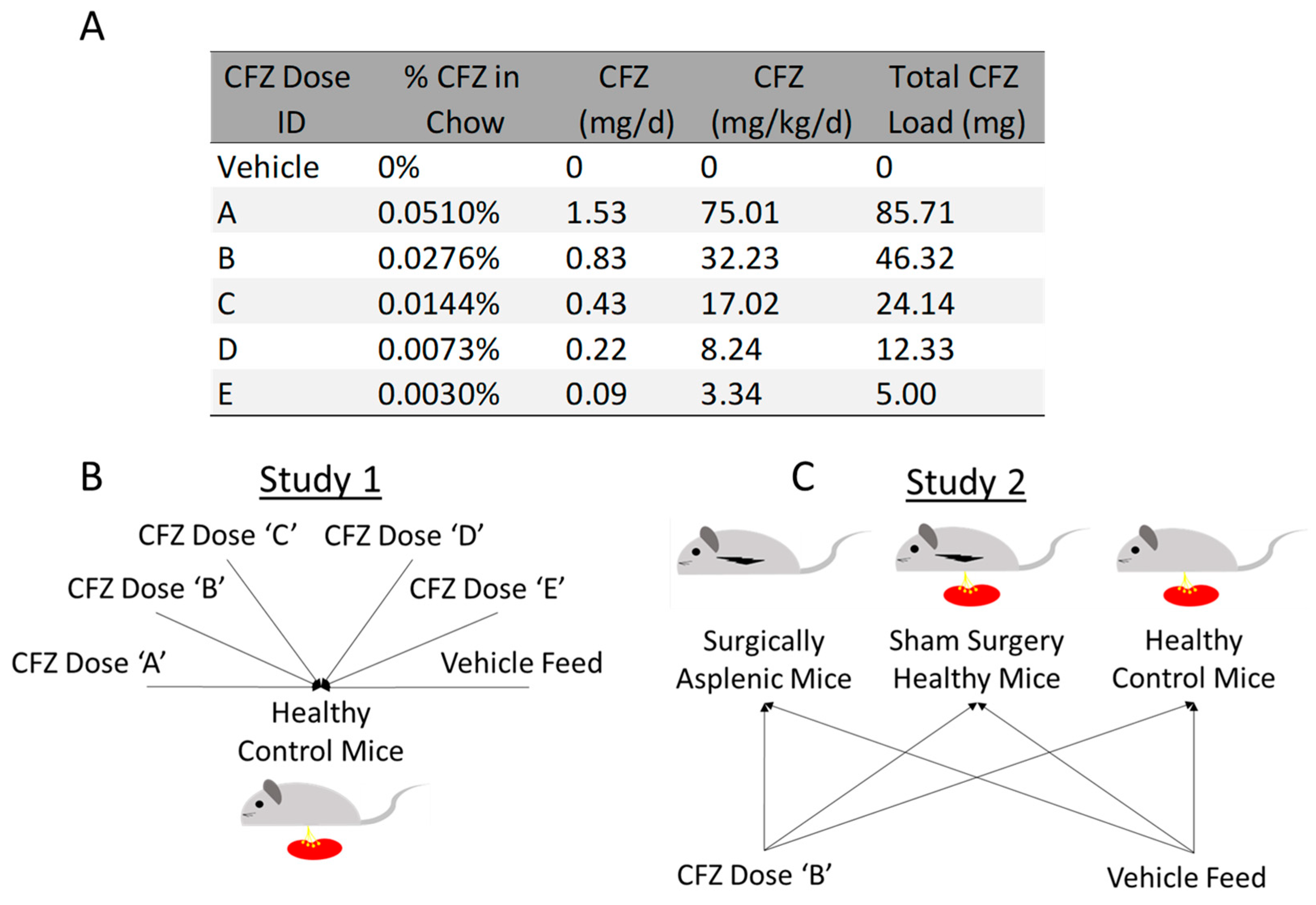 Pharmaceutics 15 02350 g001