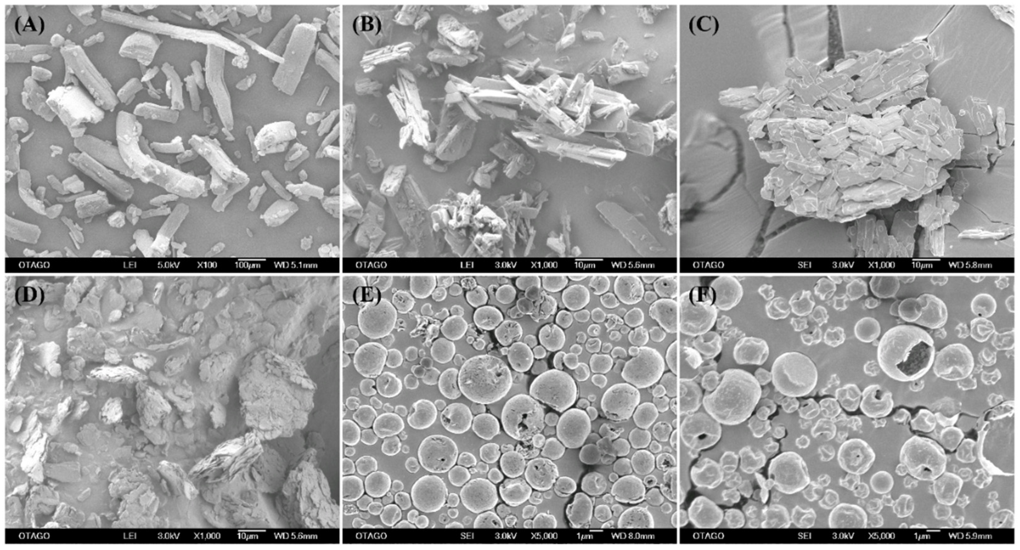 Pharmaceutics 15 02354 g002