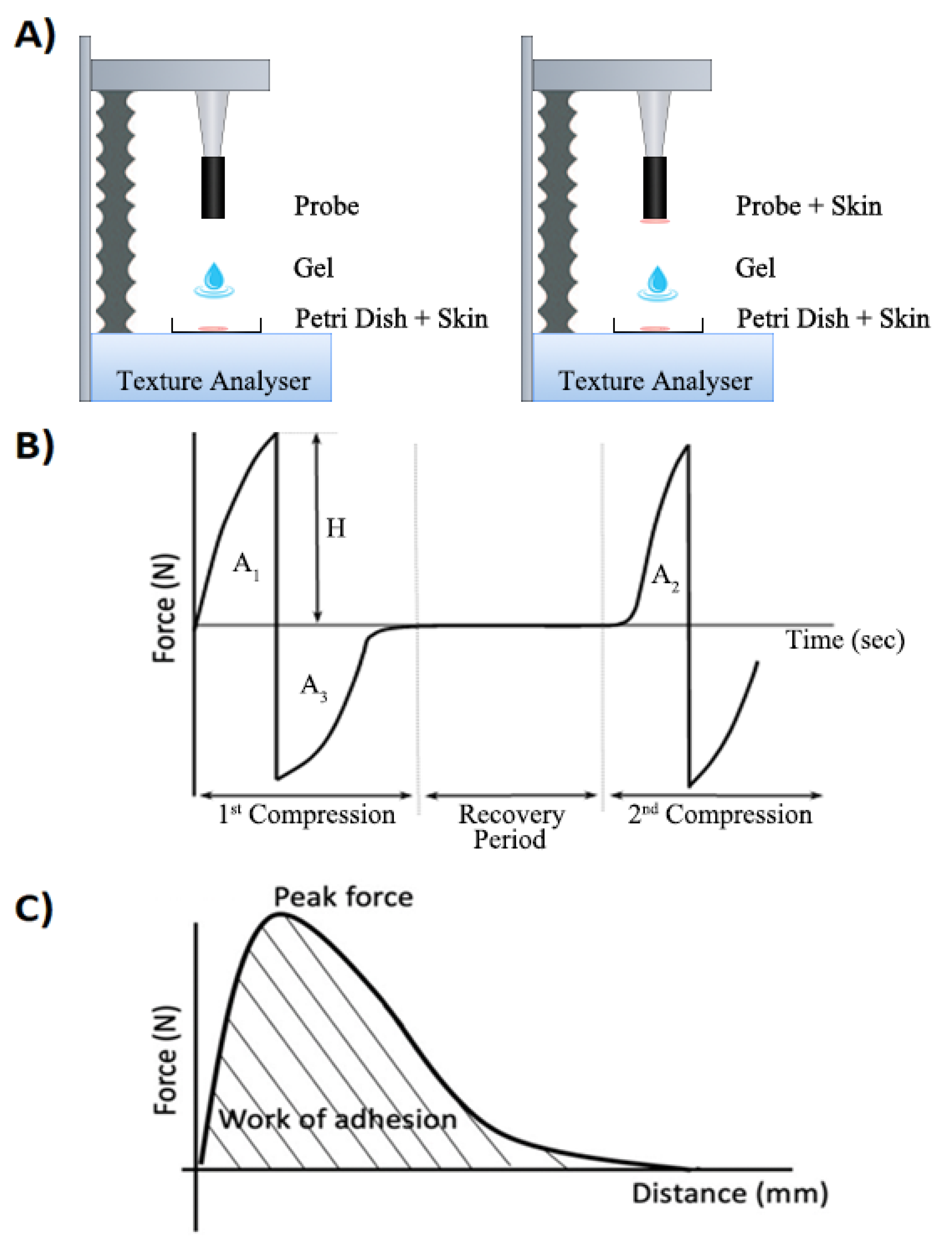 Pharmaceutics 15 02360 g002