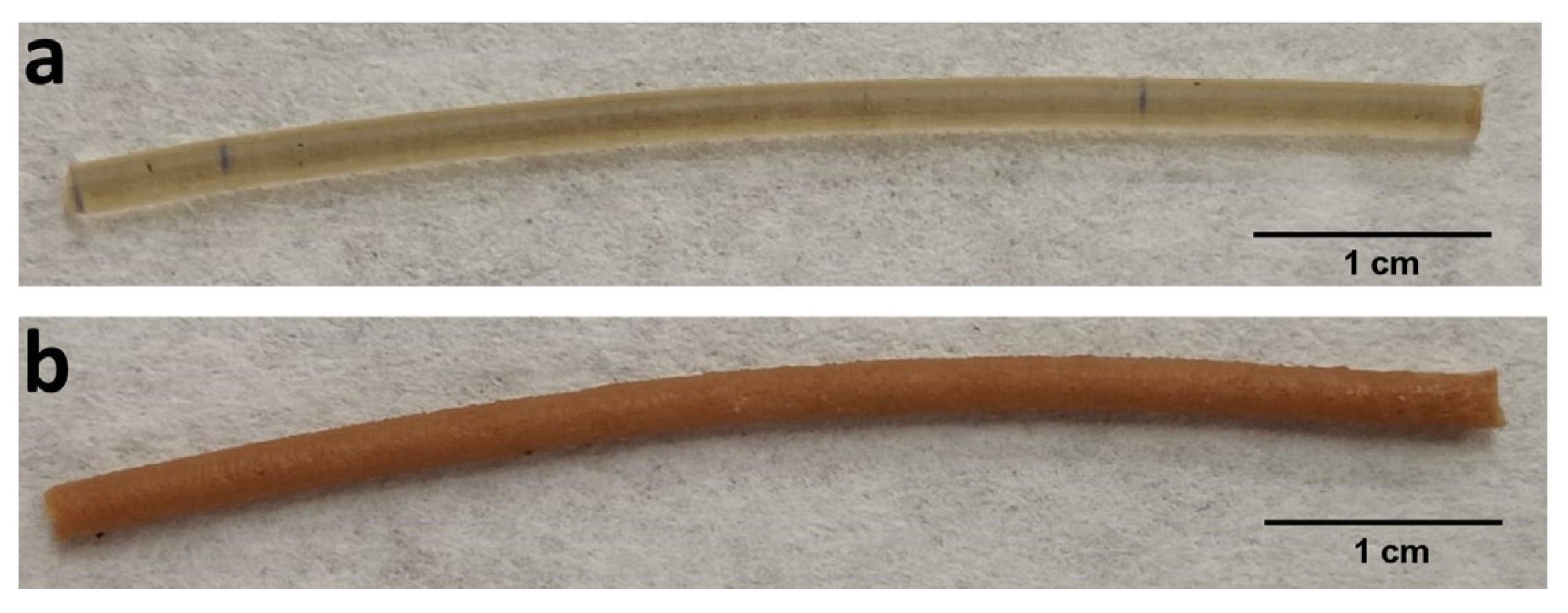 Pharmaceutics 15 02362 g002