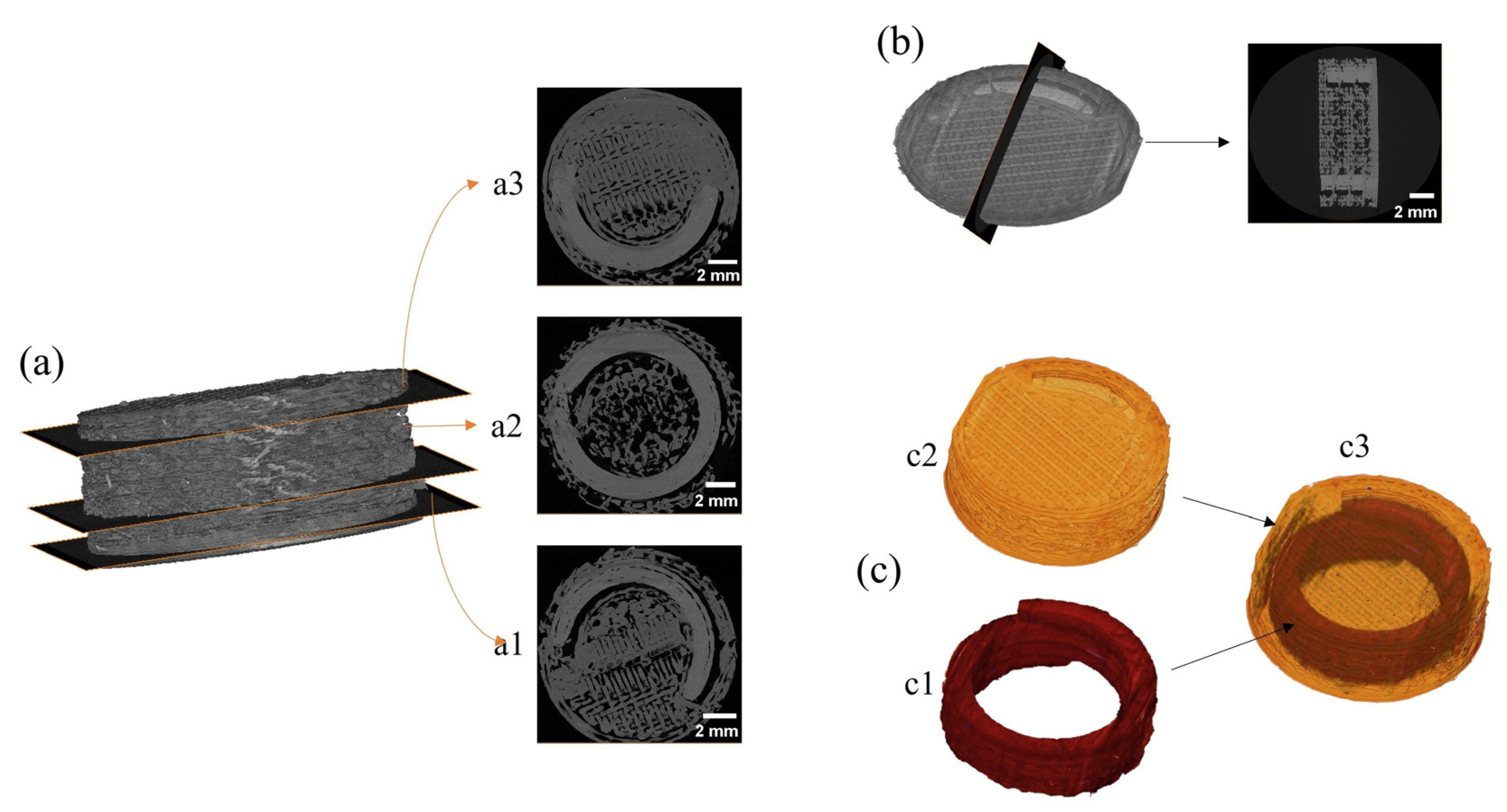 Pharmaceutics 15 02362 g010