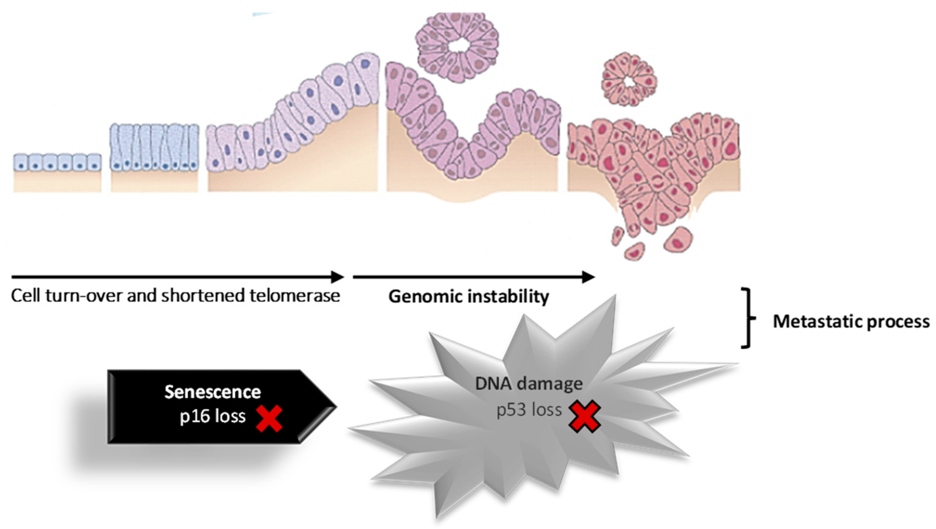 Pharmaceutics 15 02363 g002 Pharmaceutics 15 02363 g002