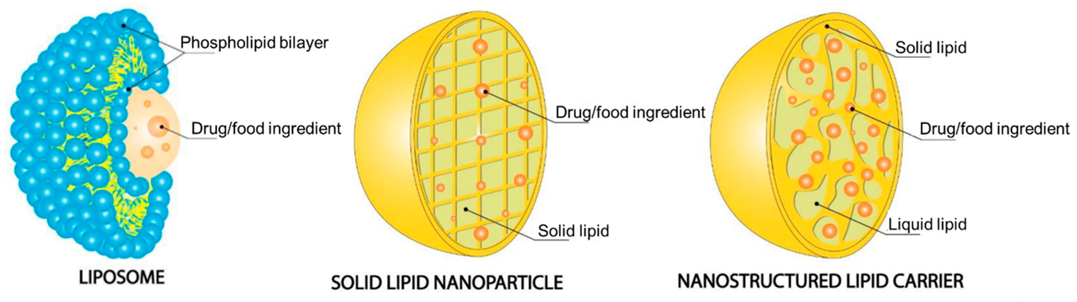 Pharmaceutics 15 02363 g004 Pharmaceutics 15 02363 g004