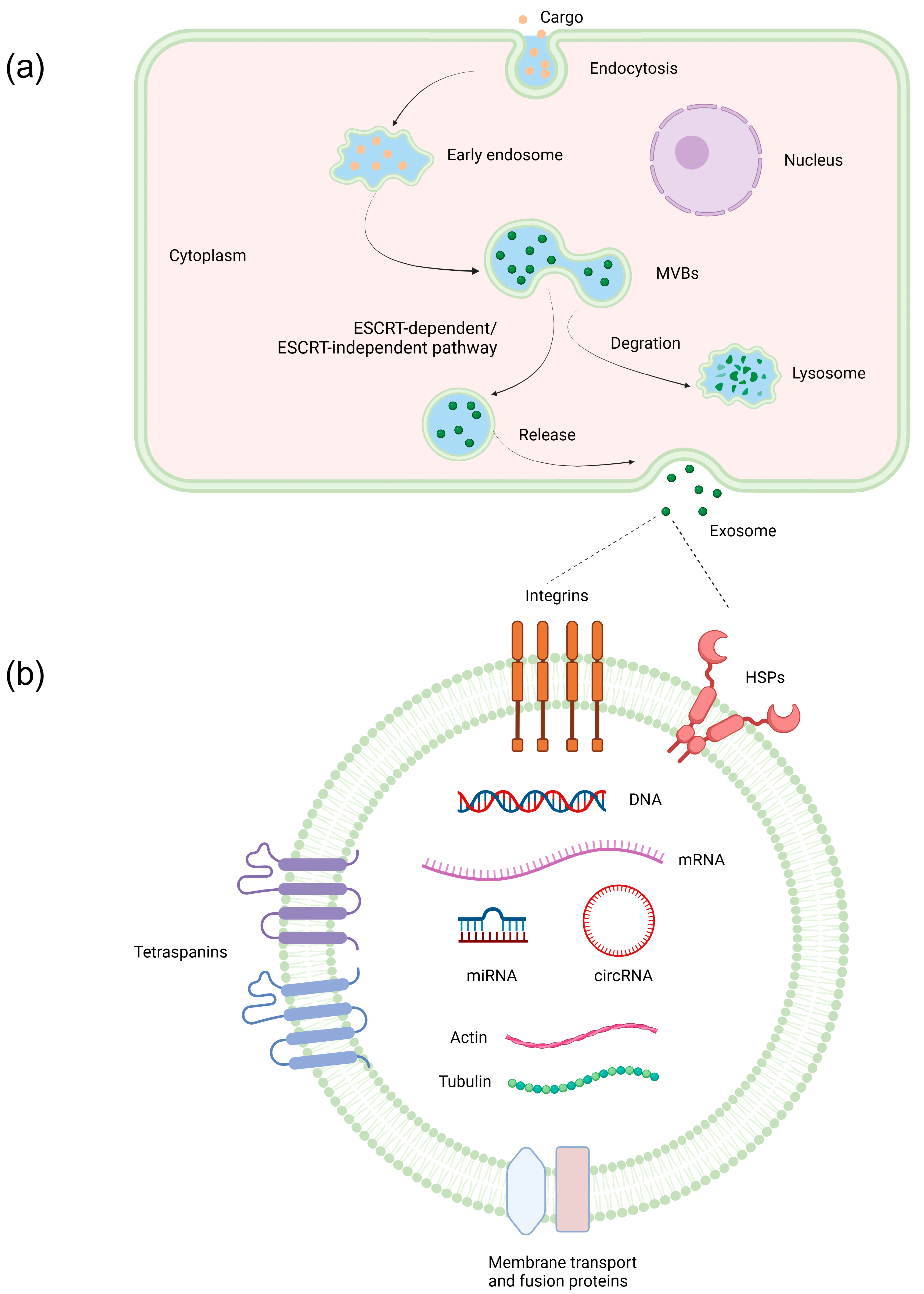 Pharmaceutics 15 02365 g001