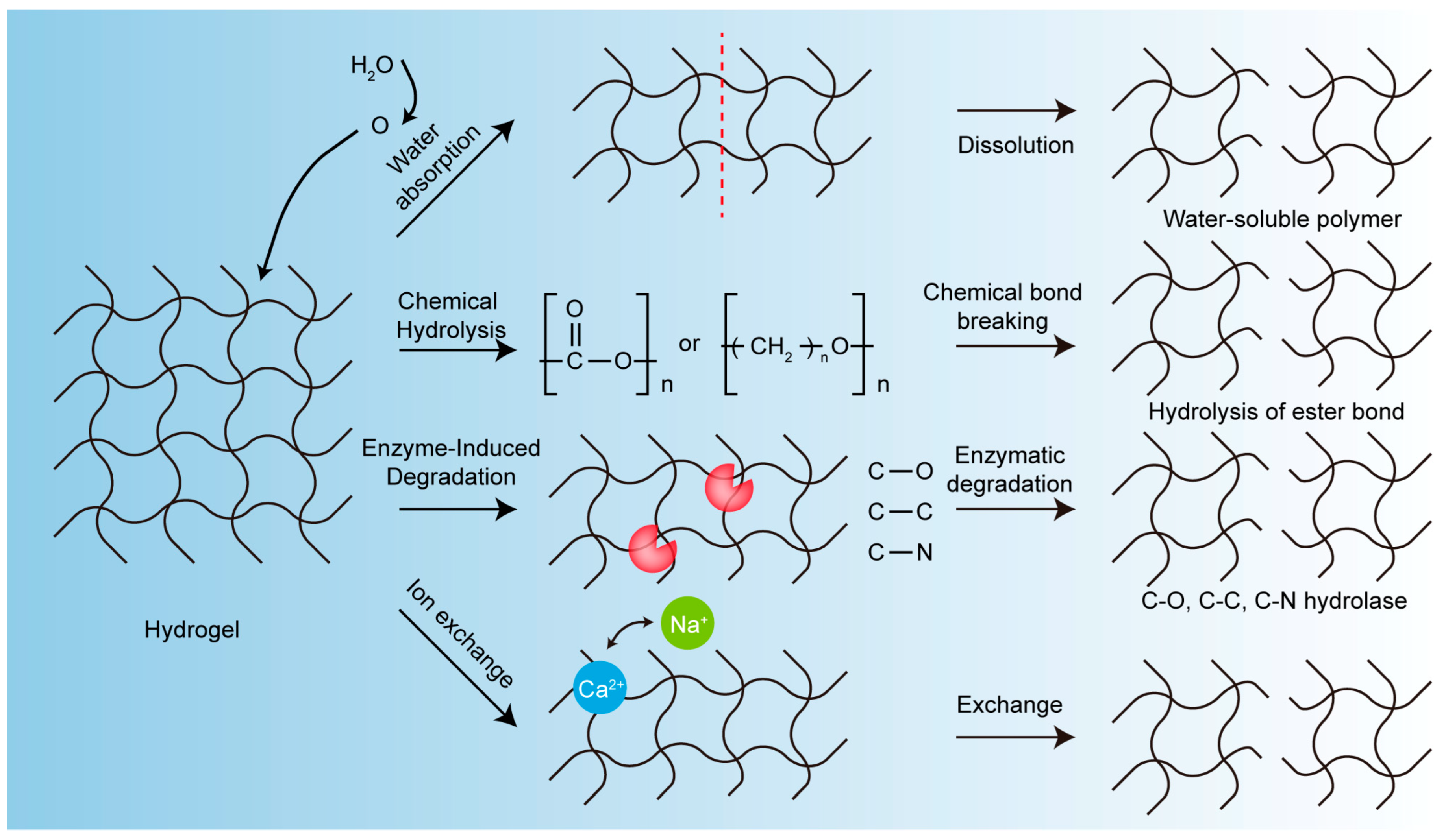 Pharmaceutics 15 02370 g001