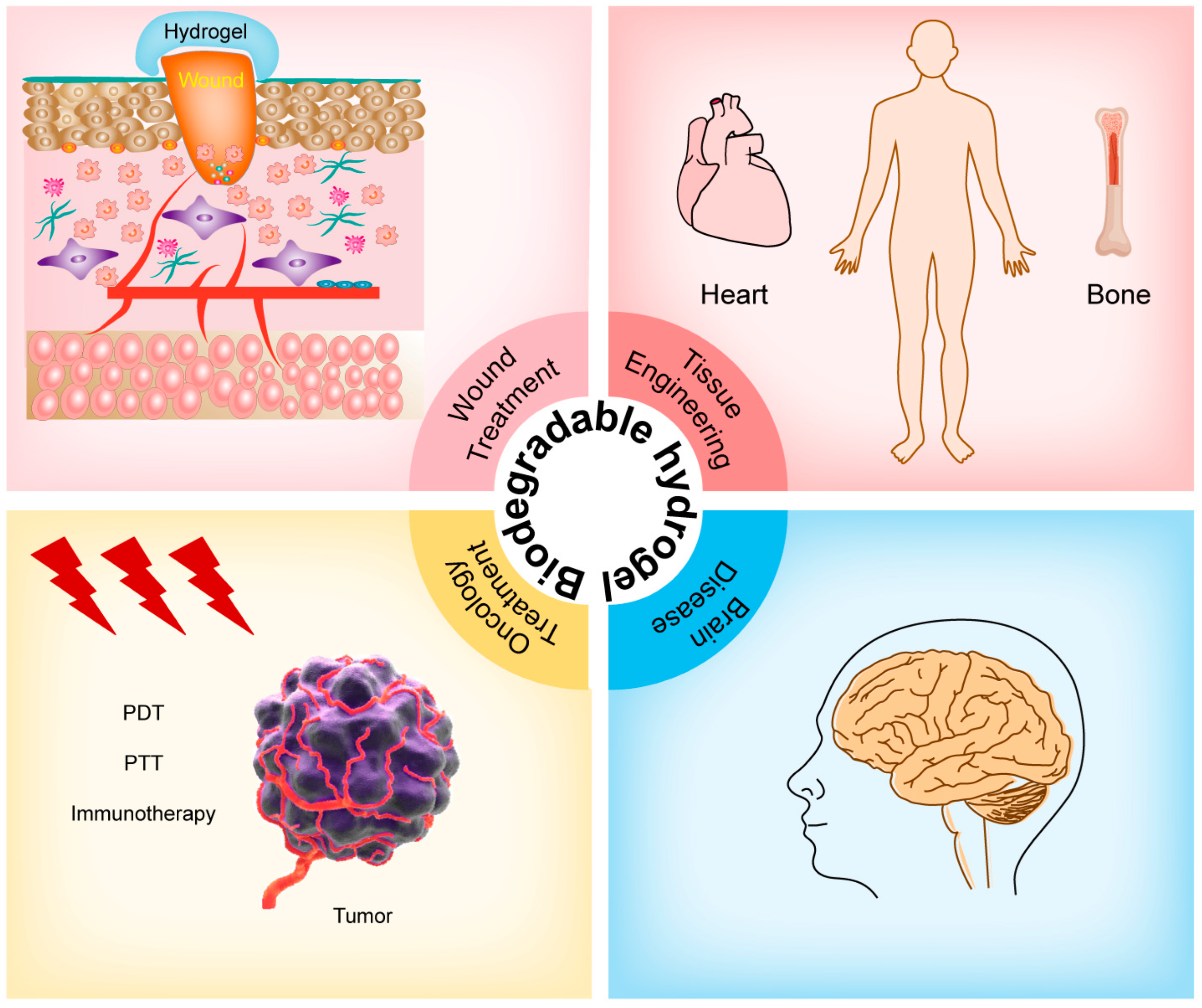 Pharmaceutics 15 02370 g002
