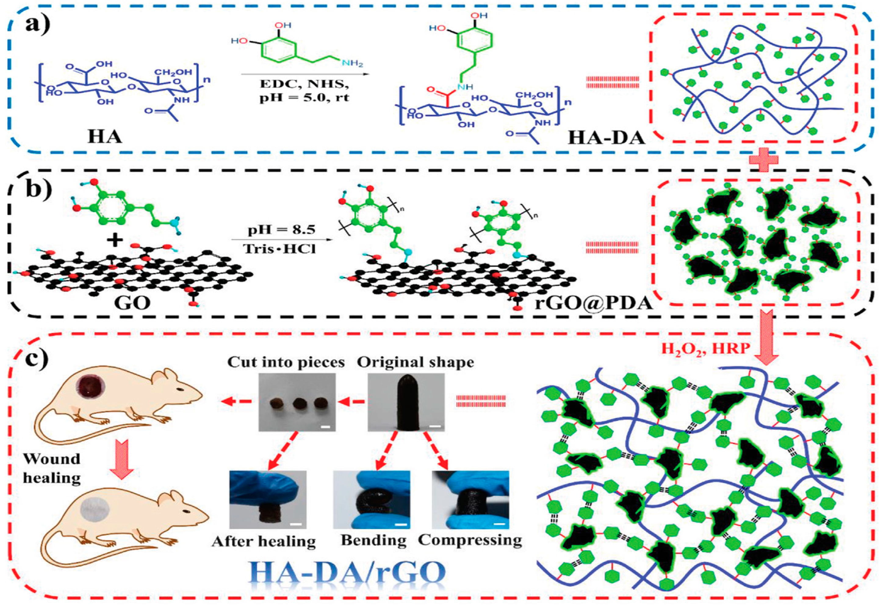 Pharmaceutics 15 02370 g003