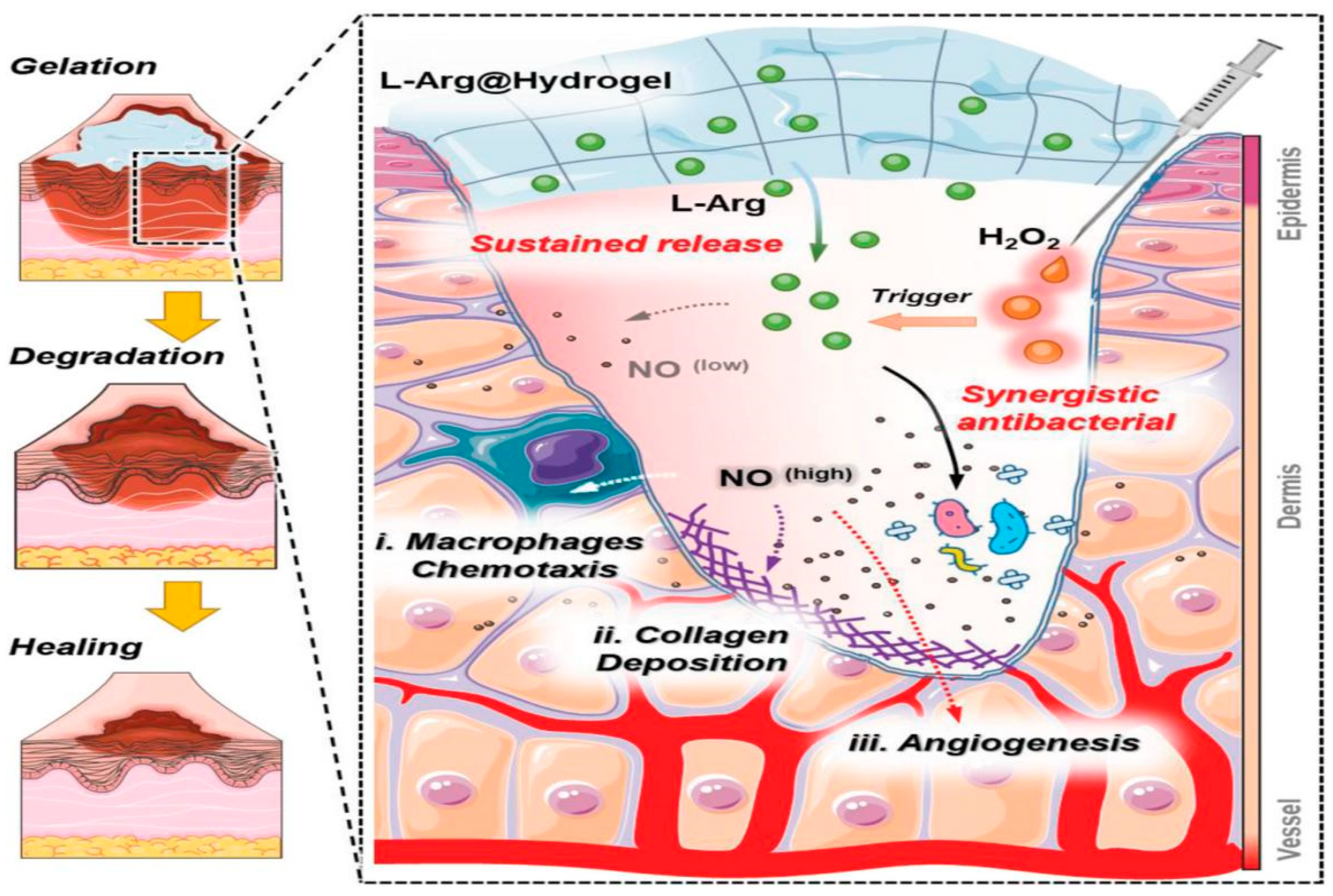 Pharmaceutics 15 02370 g005