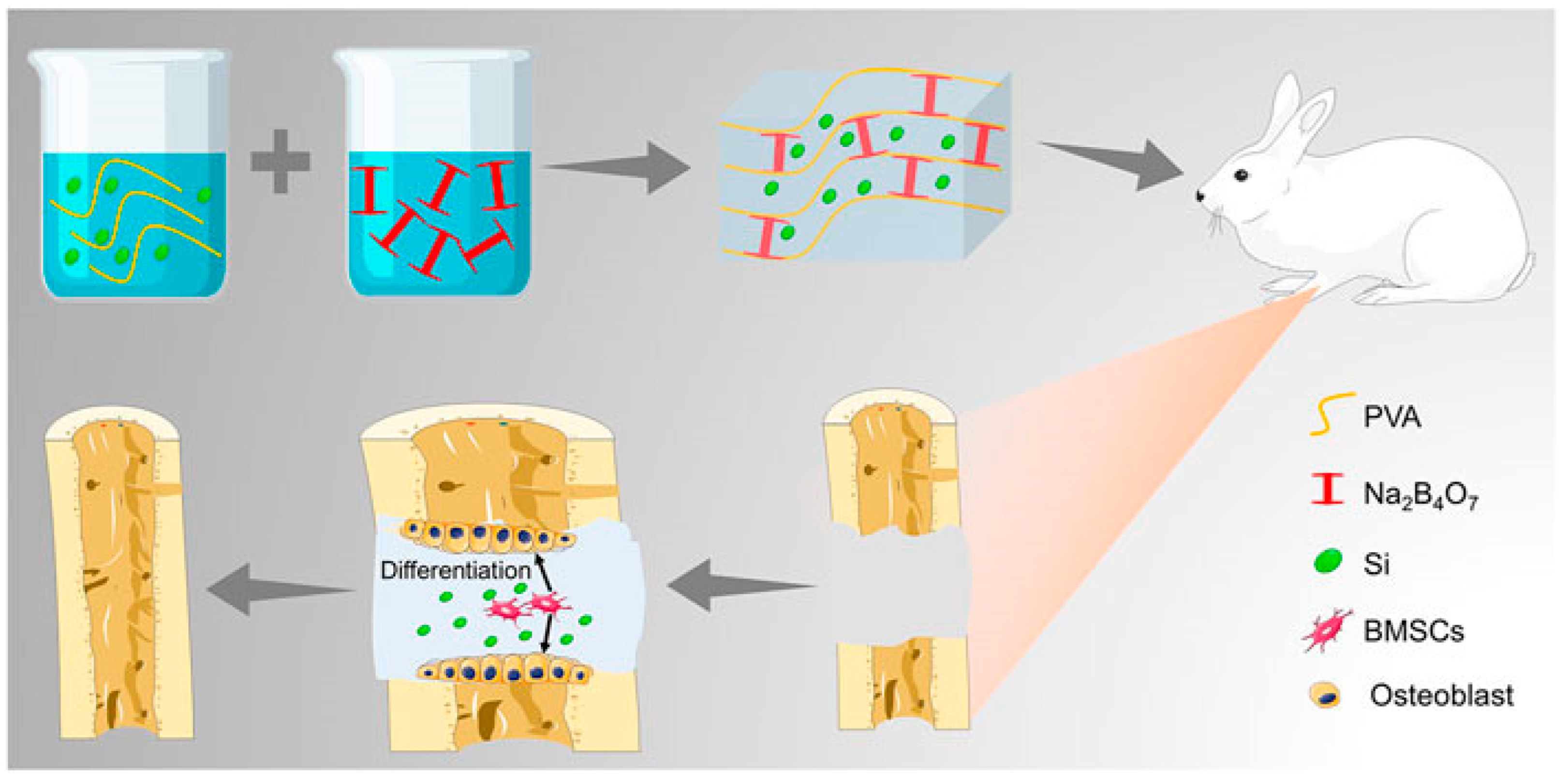 Pharmaceutics 15 02370 g007