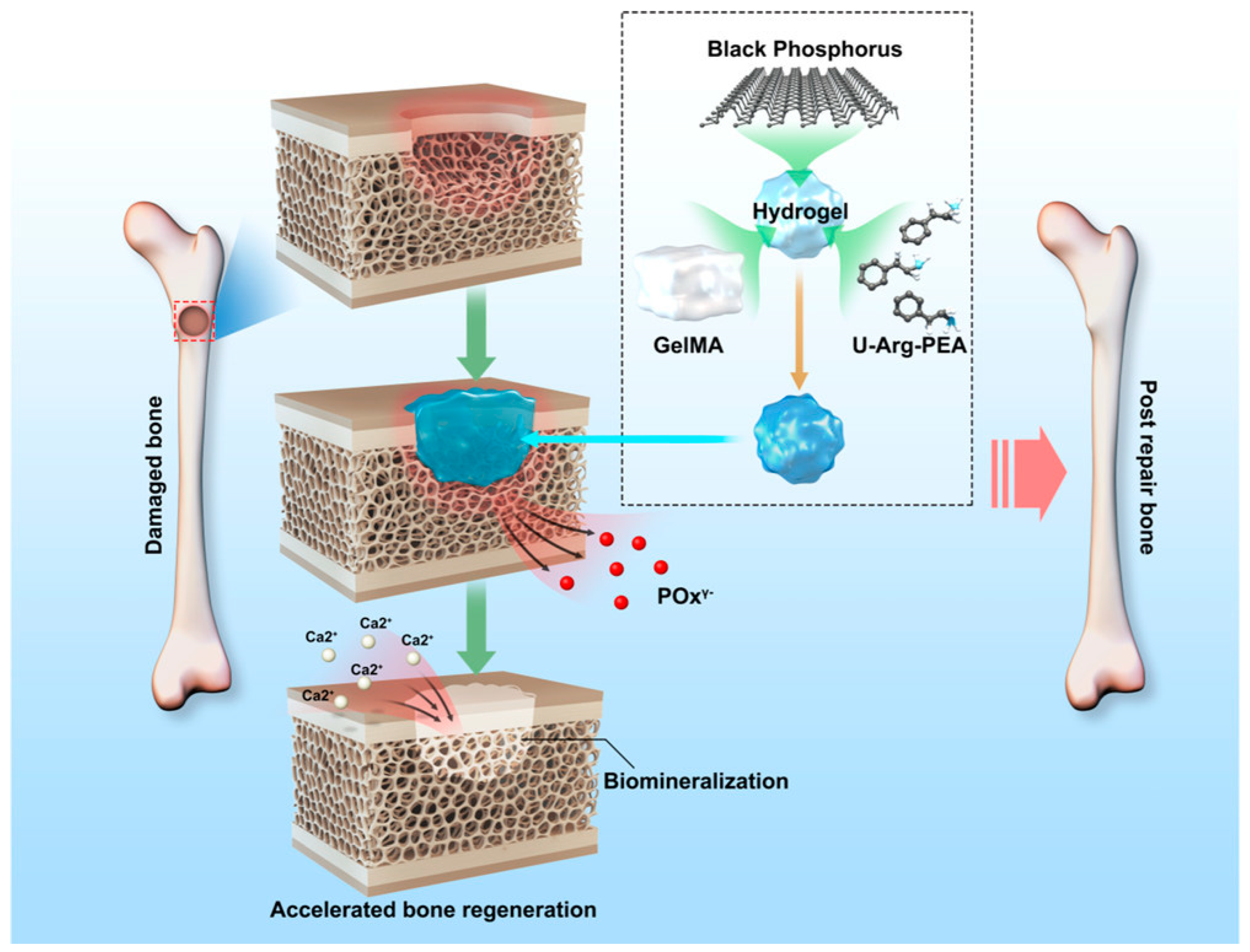 Pharmaceutics 15 02370 g008