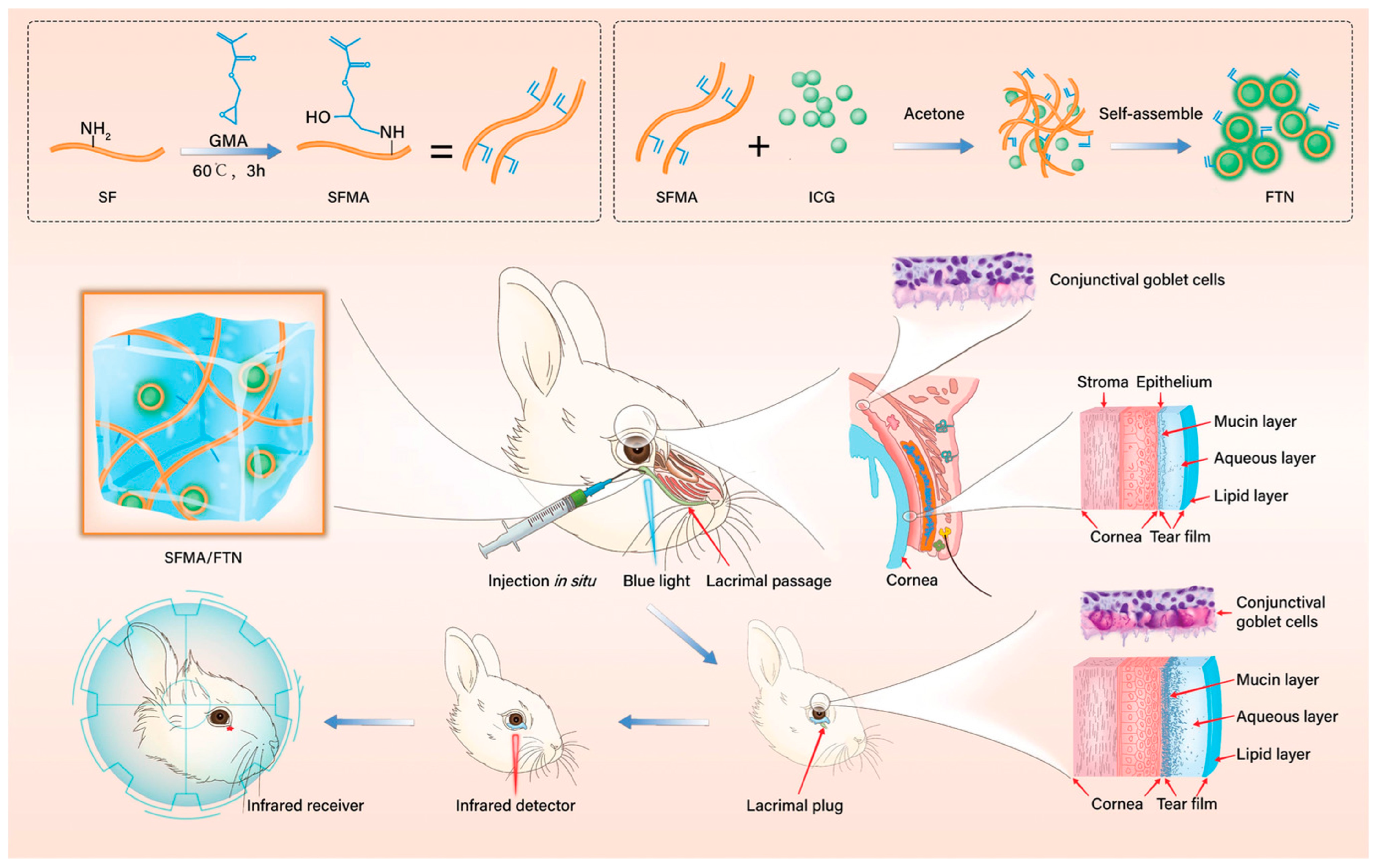 Pharmaceutics 15 02370 g009