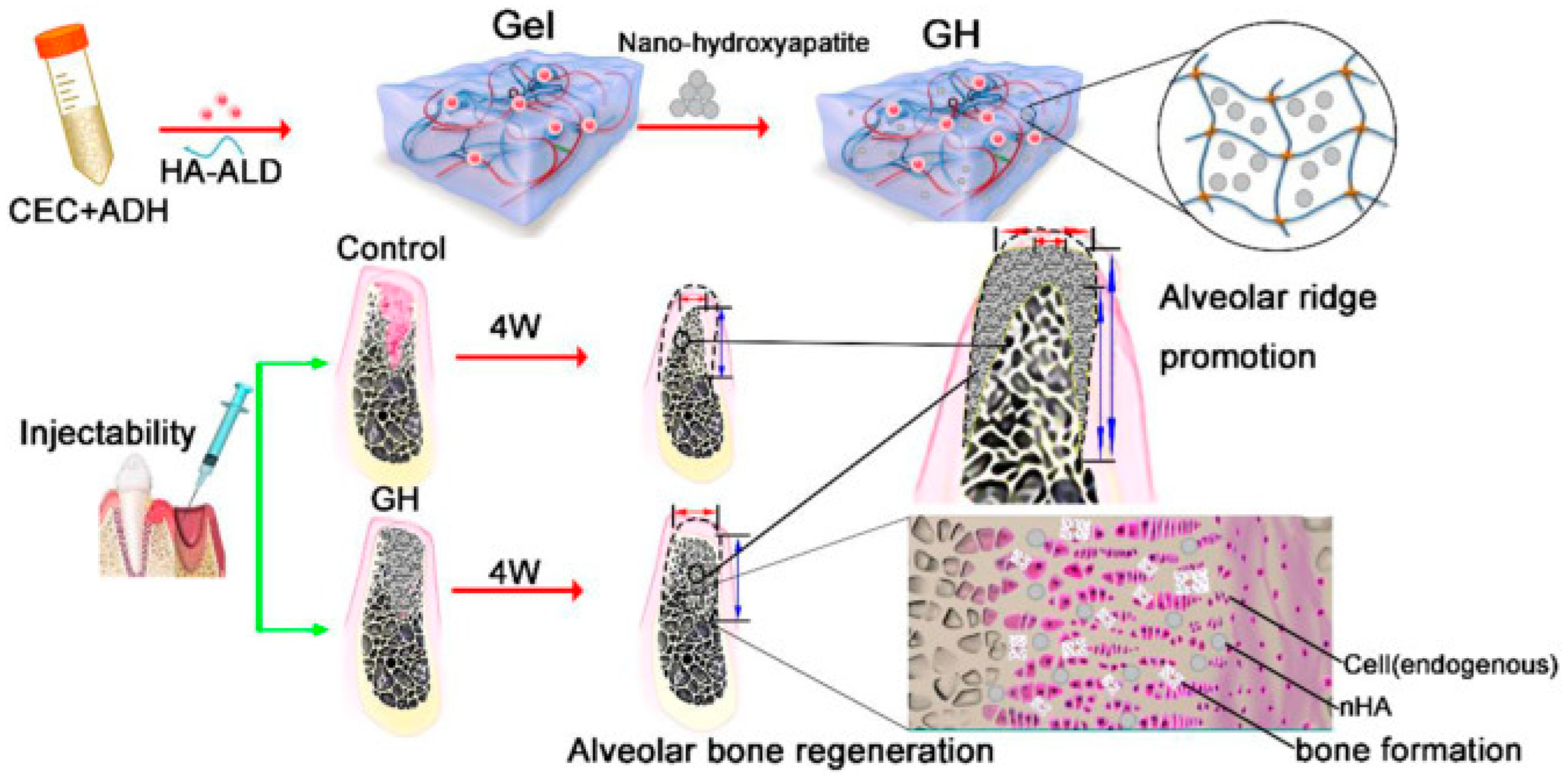 Pharmaceutics 15 02370 g010