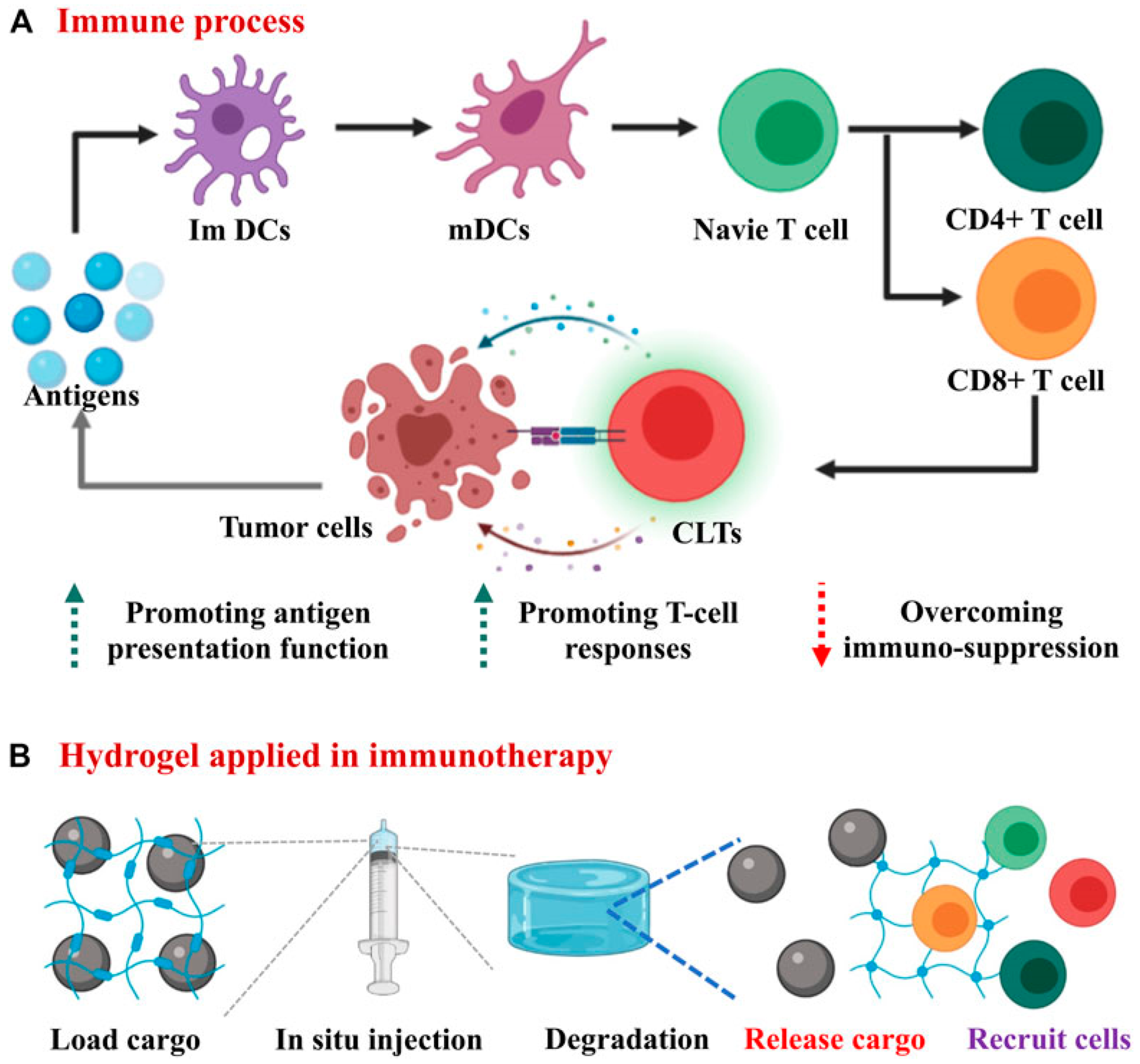 Pharmaceutics 15 02370 g011
