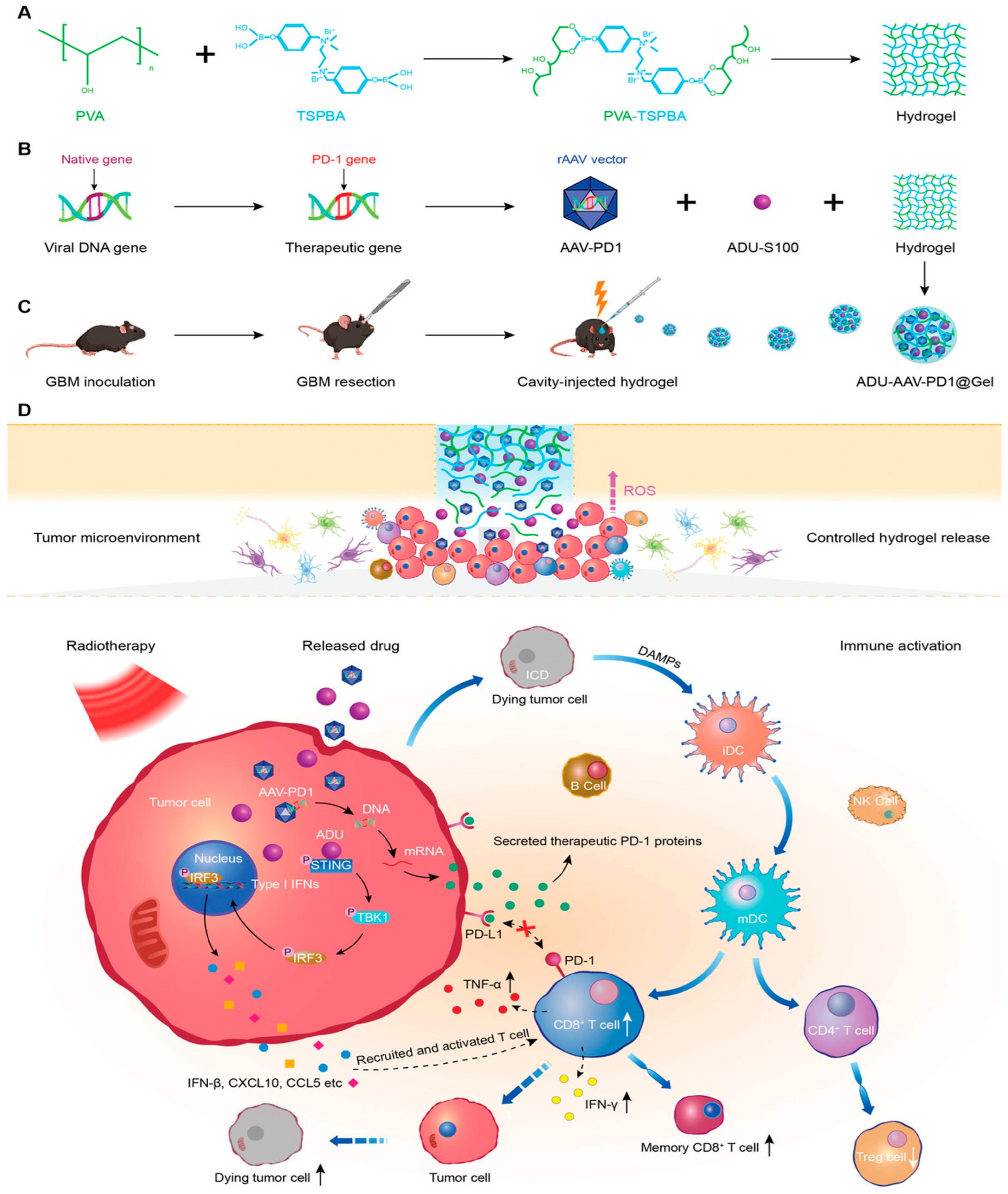 Pharmaceutics 15 02370 g012