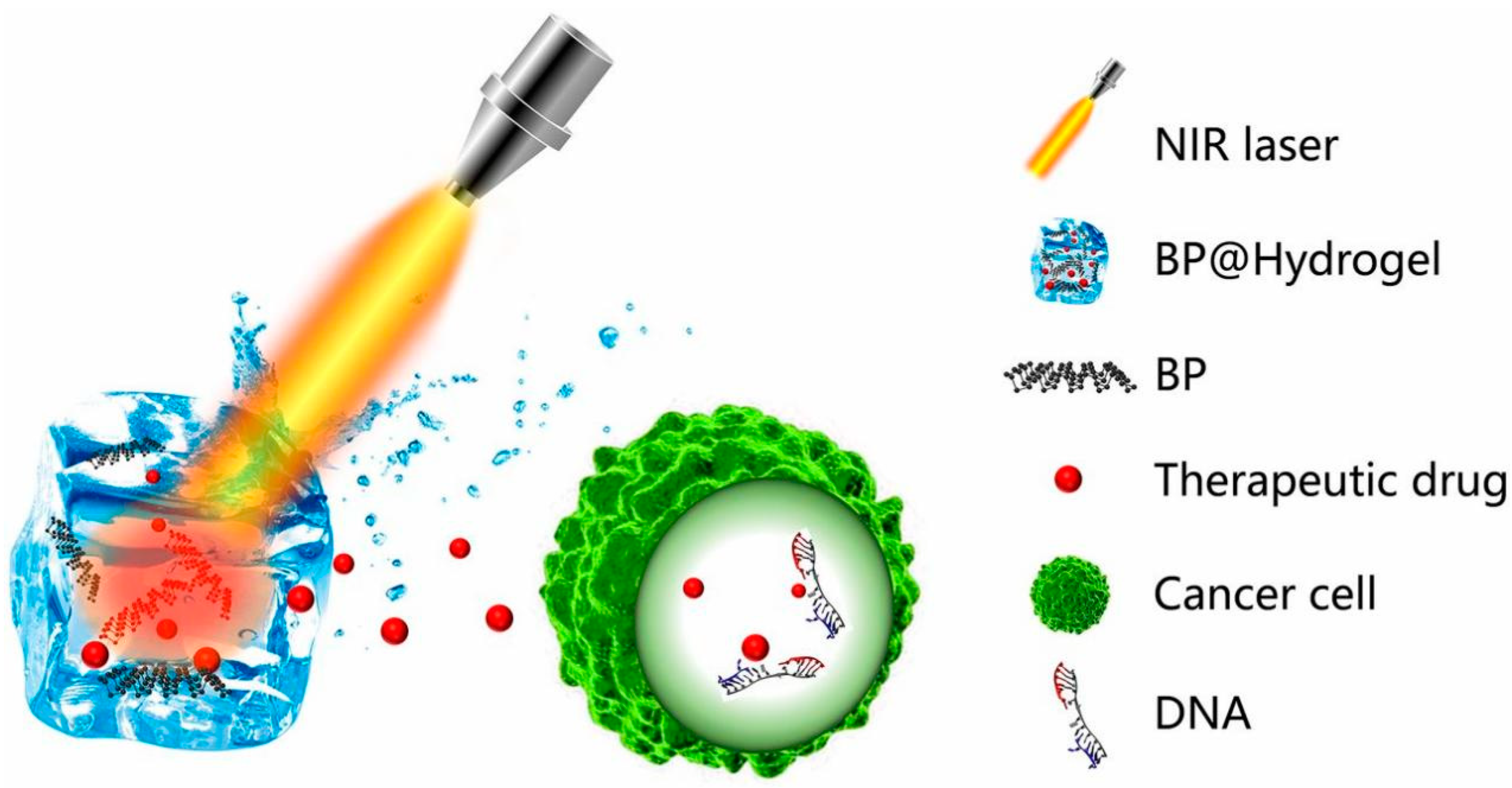 Pharmaceutics 15 02370 g013