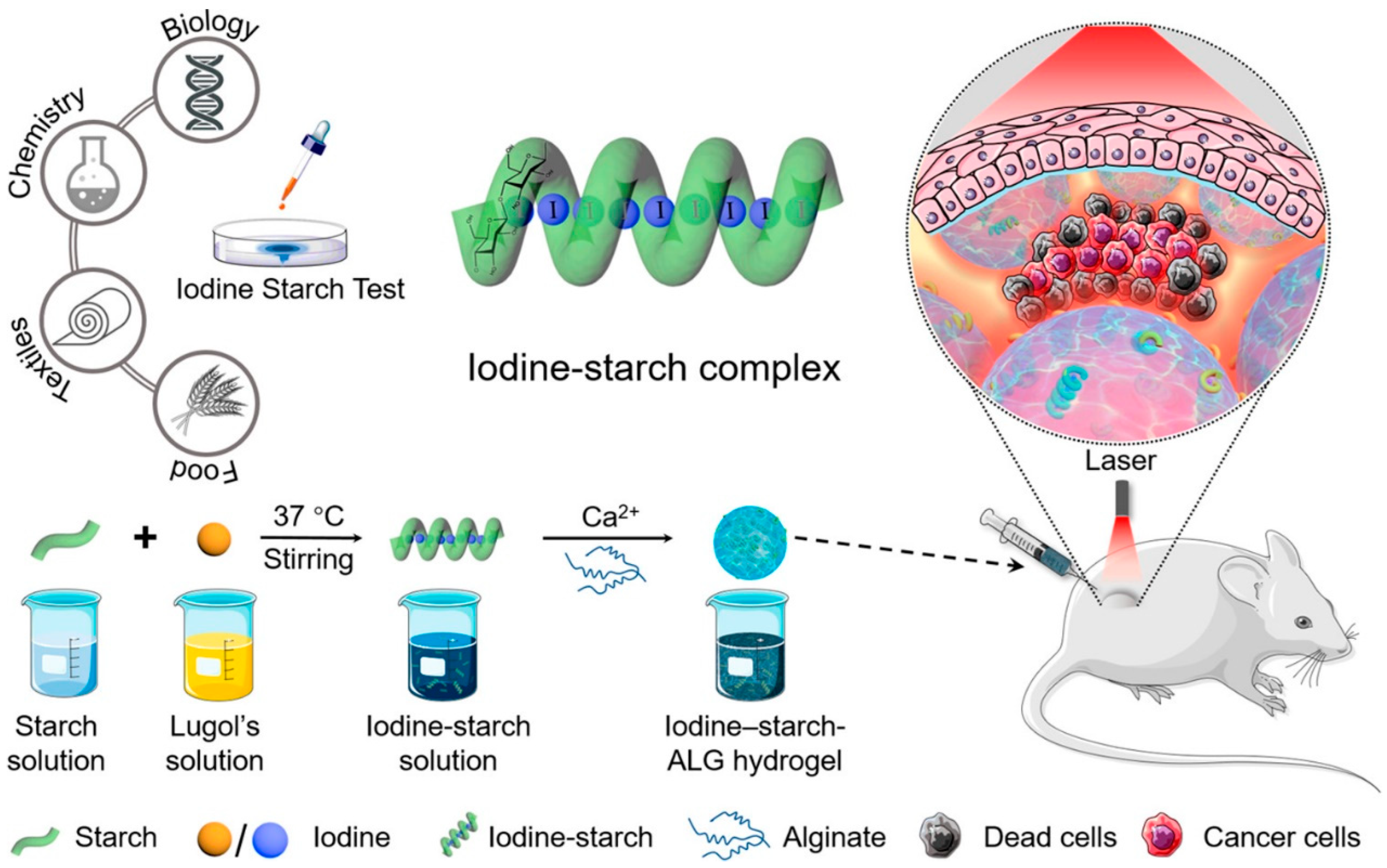 Pharmaceutics 15 02370 g014
